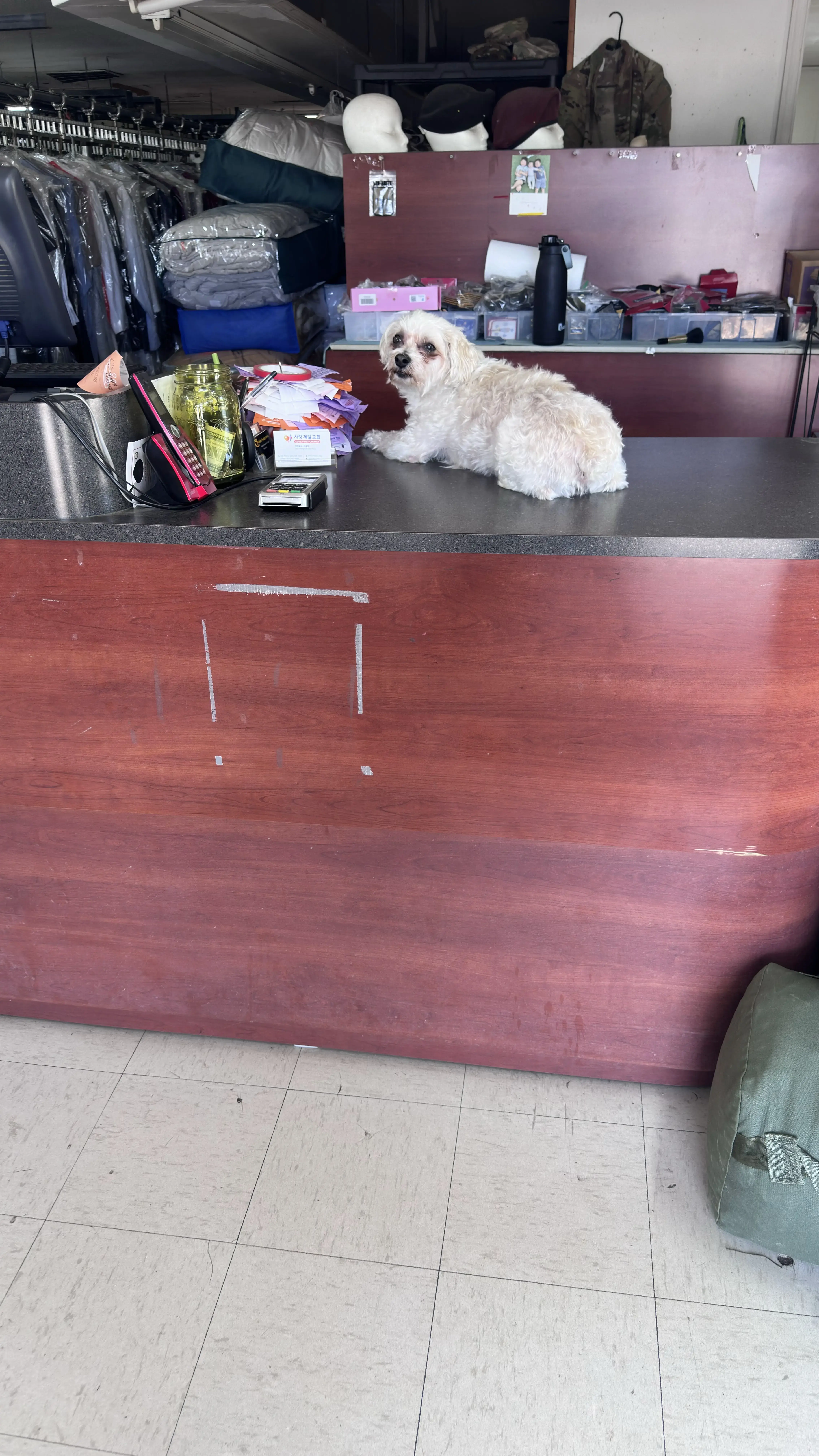 Sun's Cleaners thumbnail 8