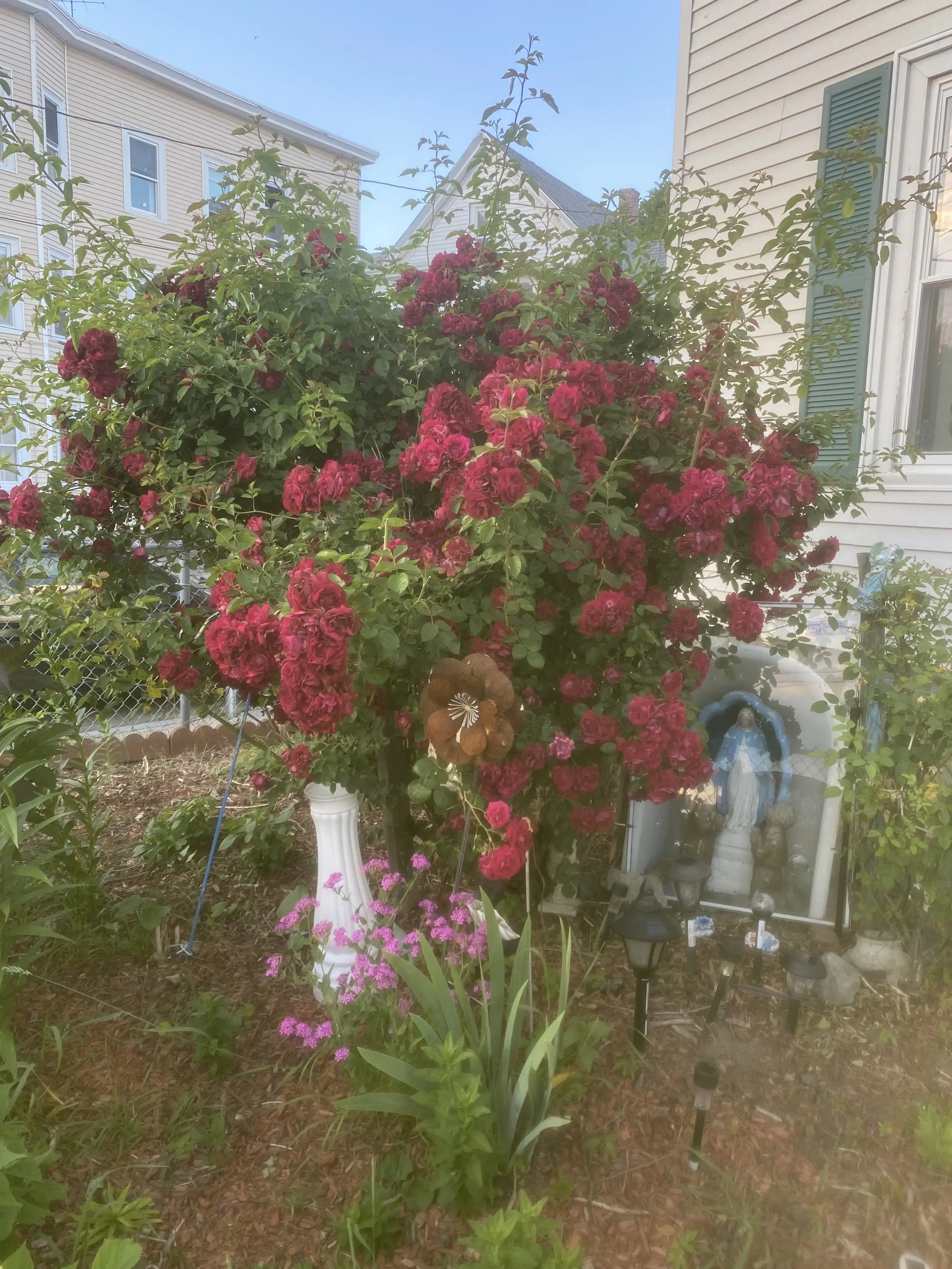 Sunset Laundry location