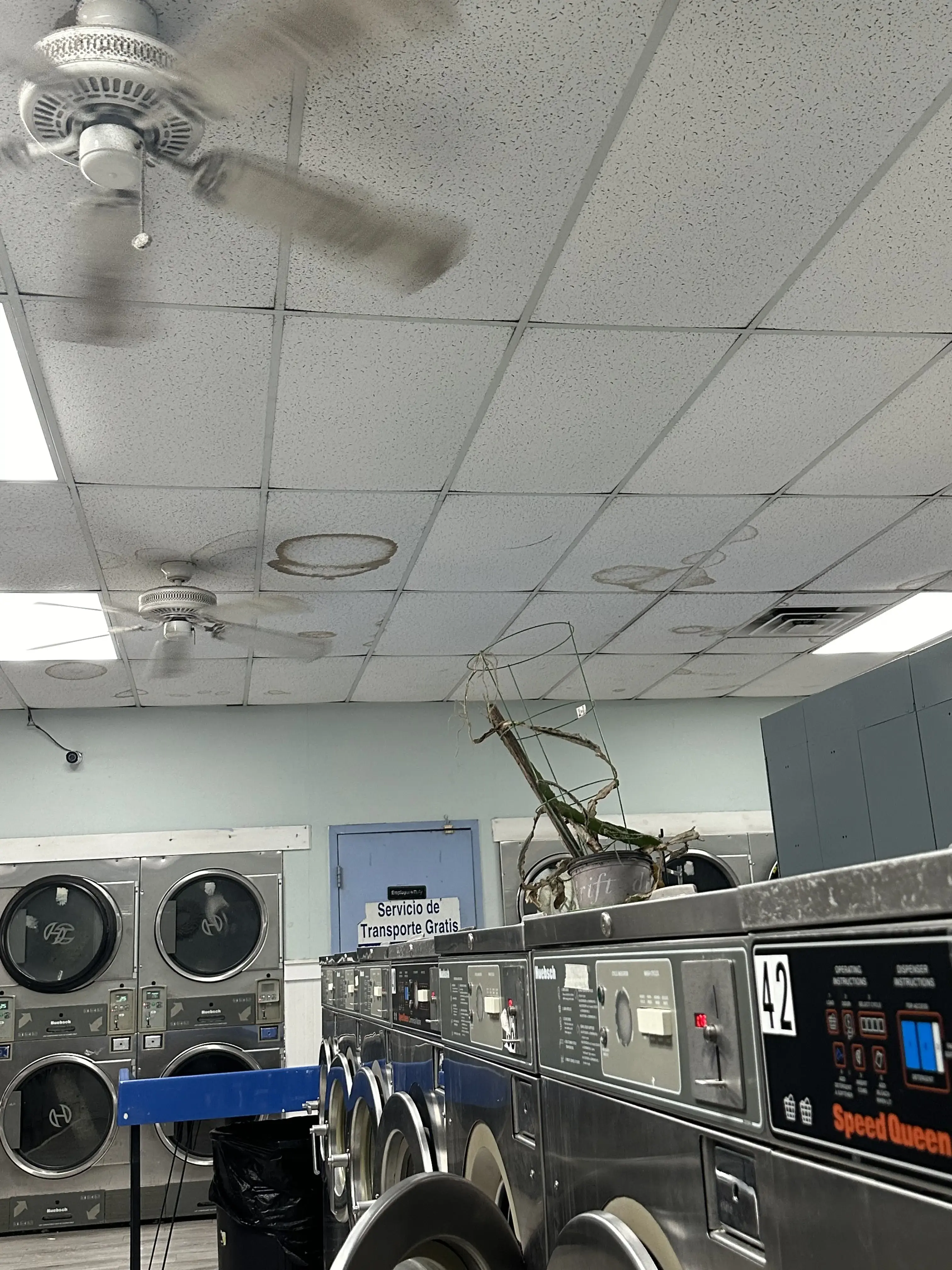 Sunshine Coin Laundry thumbnail 3