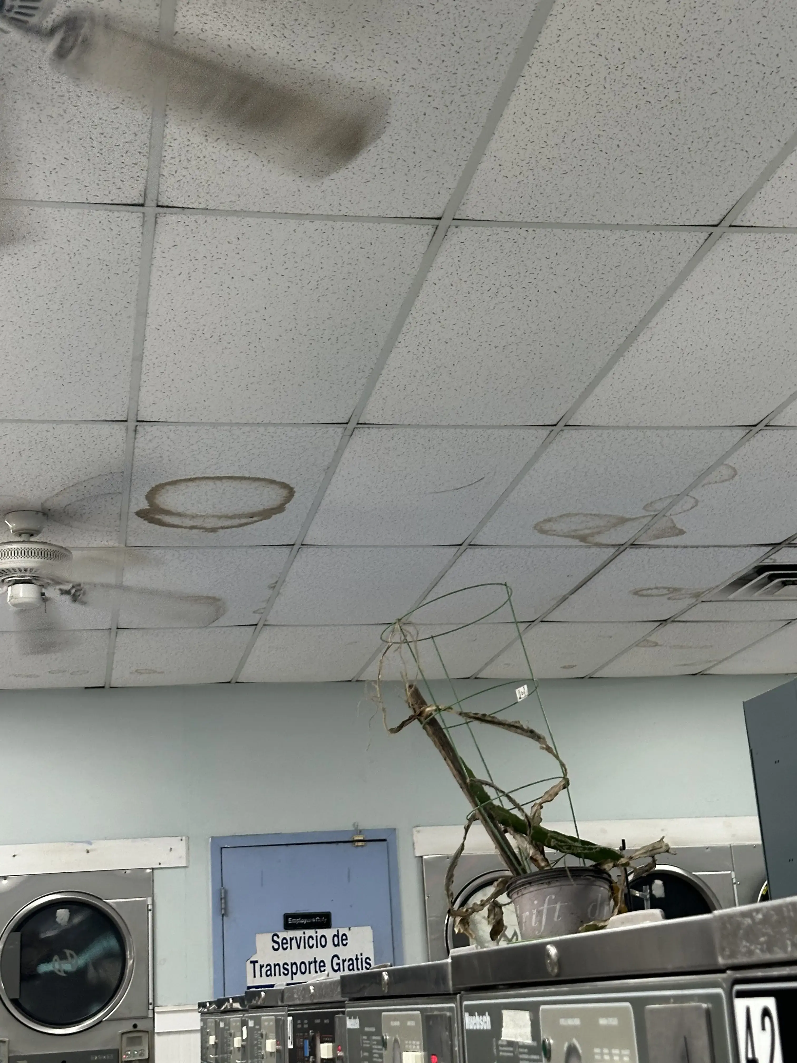 Sunshine Coin Laundry - Image 8