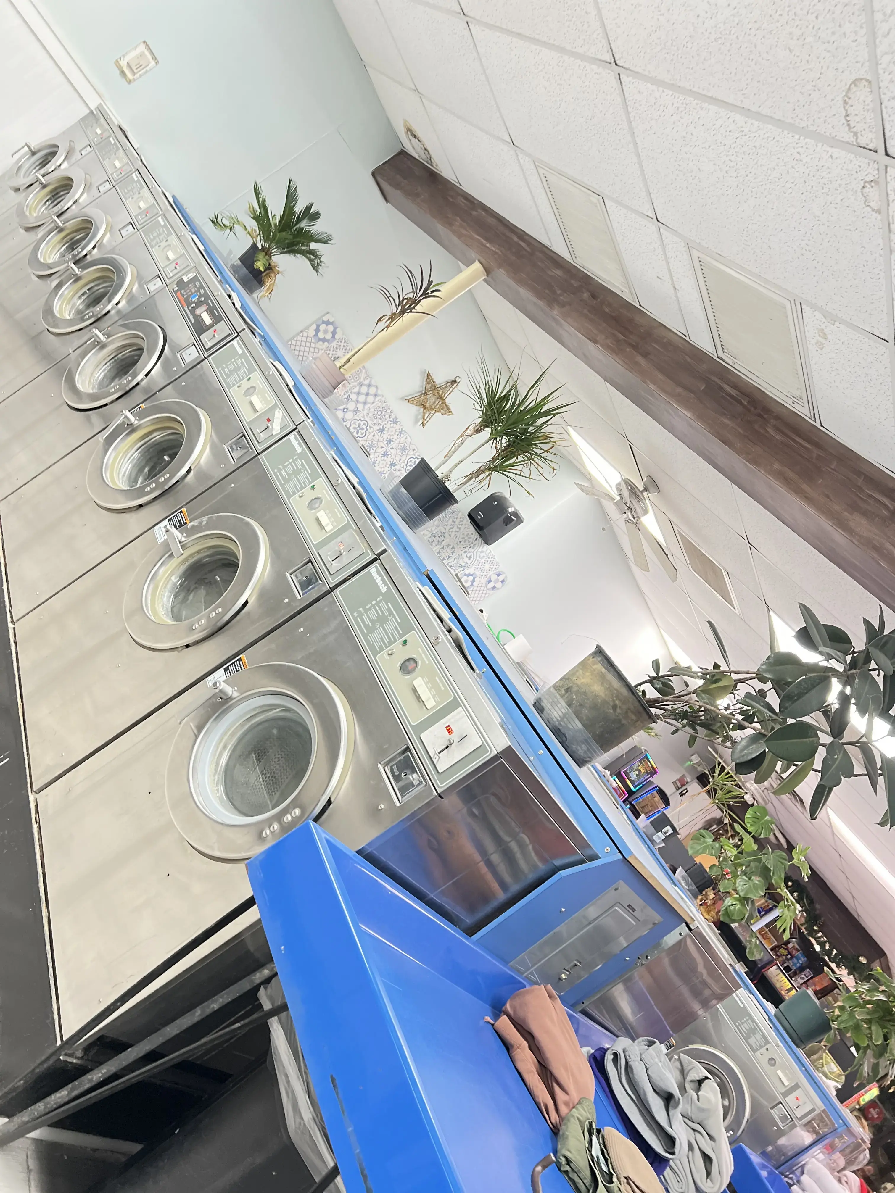 Sunshine Coin Laundry thumbnail 9