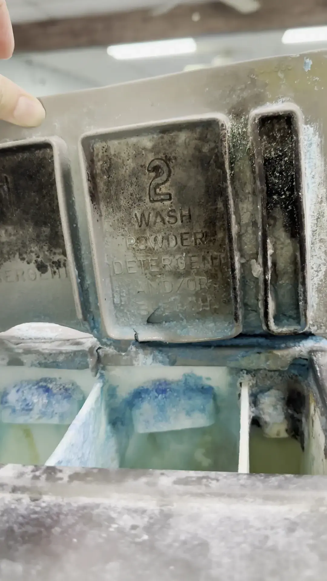 Sunshine Coin Laundry thumbnail 15