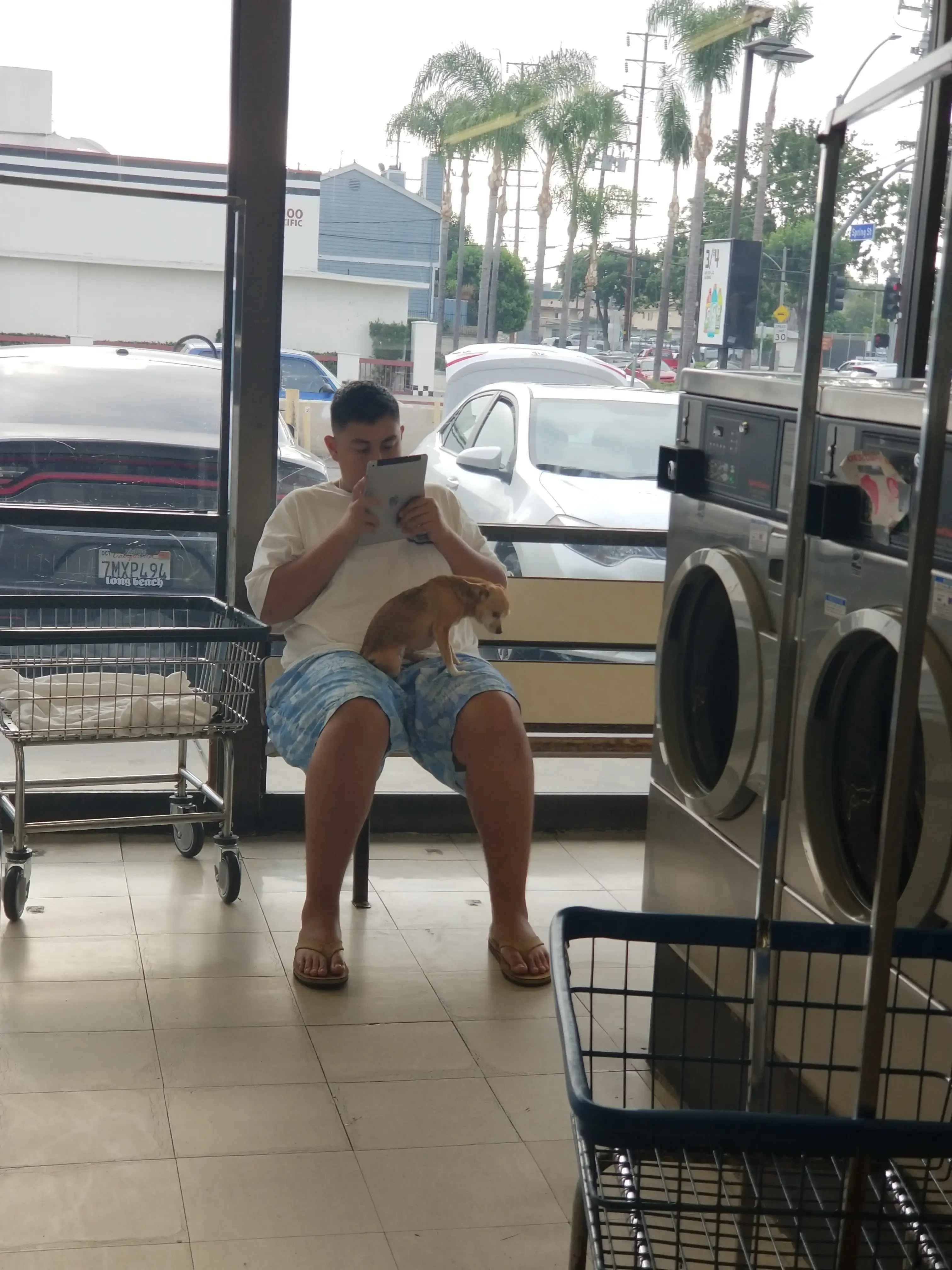 Sunshine Coin-Op Laundry Lavandería thumbnail 3