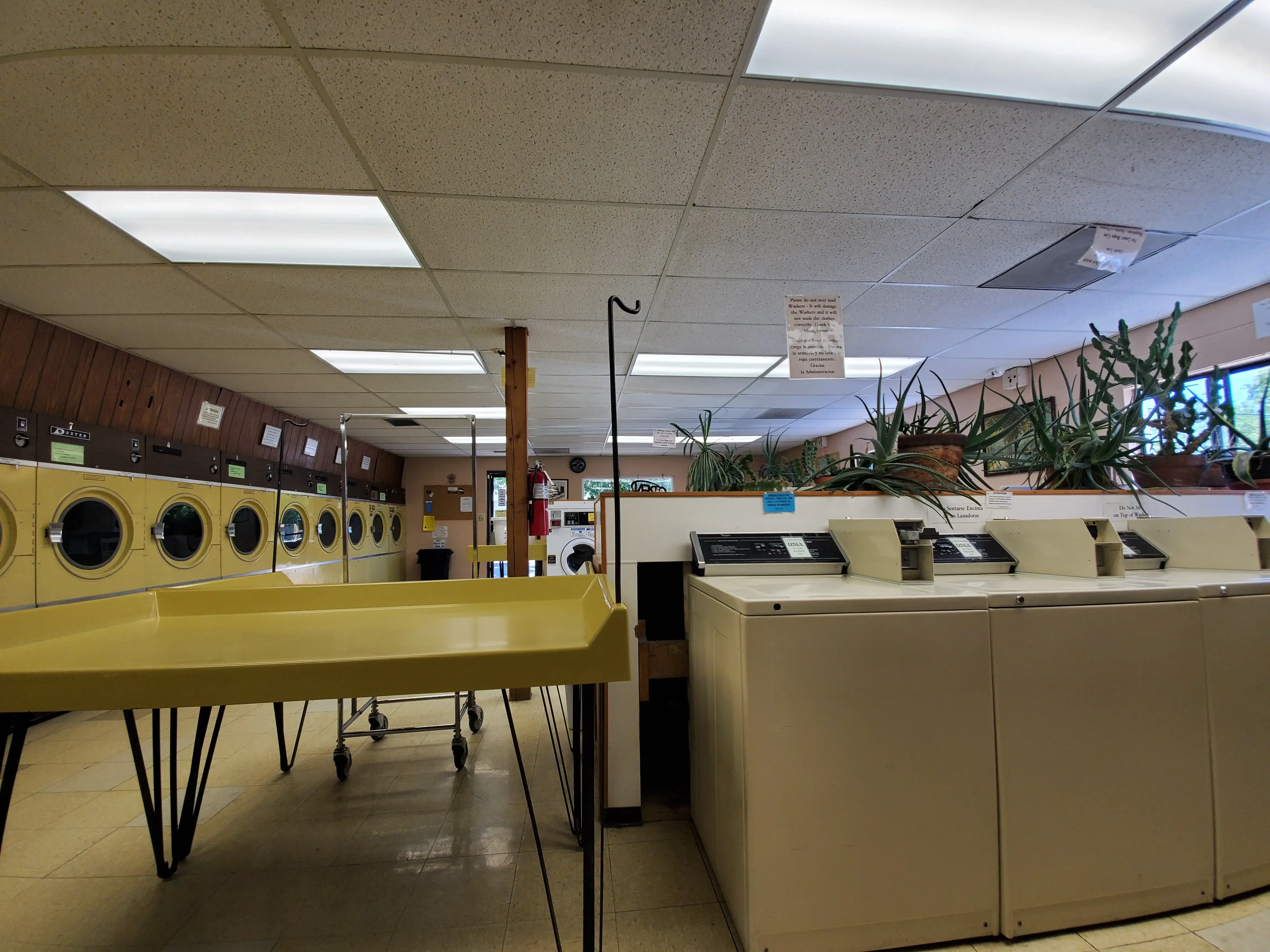 Sunshine Laundromat thumbnail 5