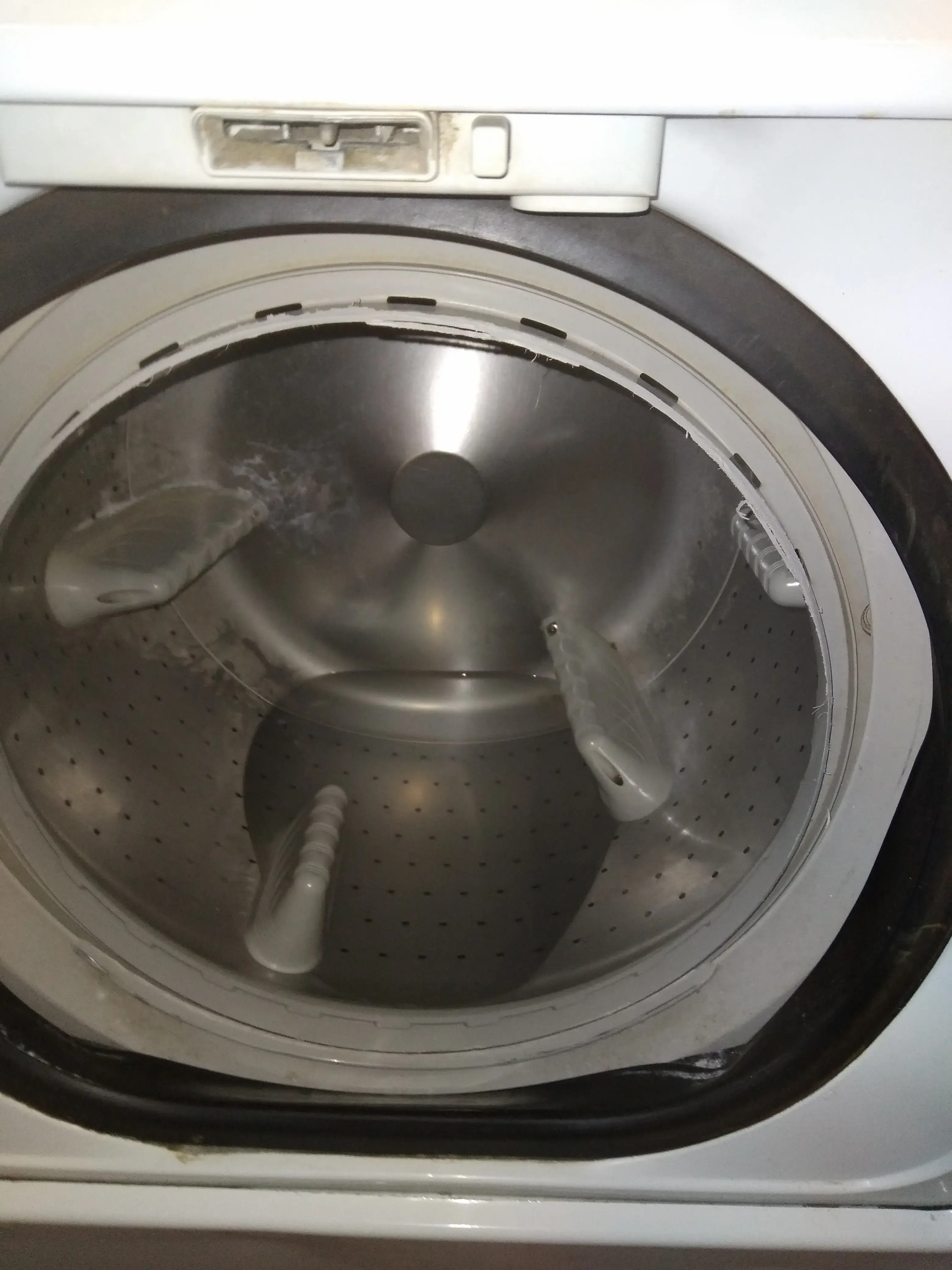 Sunshine Laundromat thumbnail 16