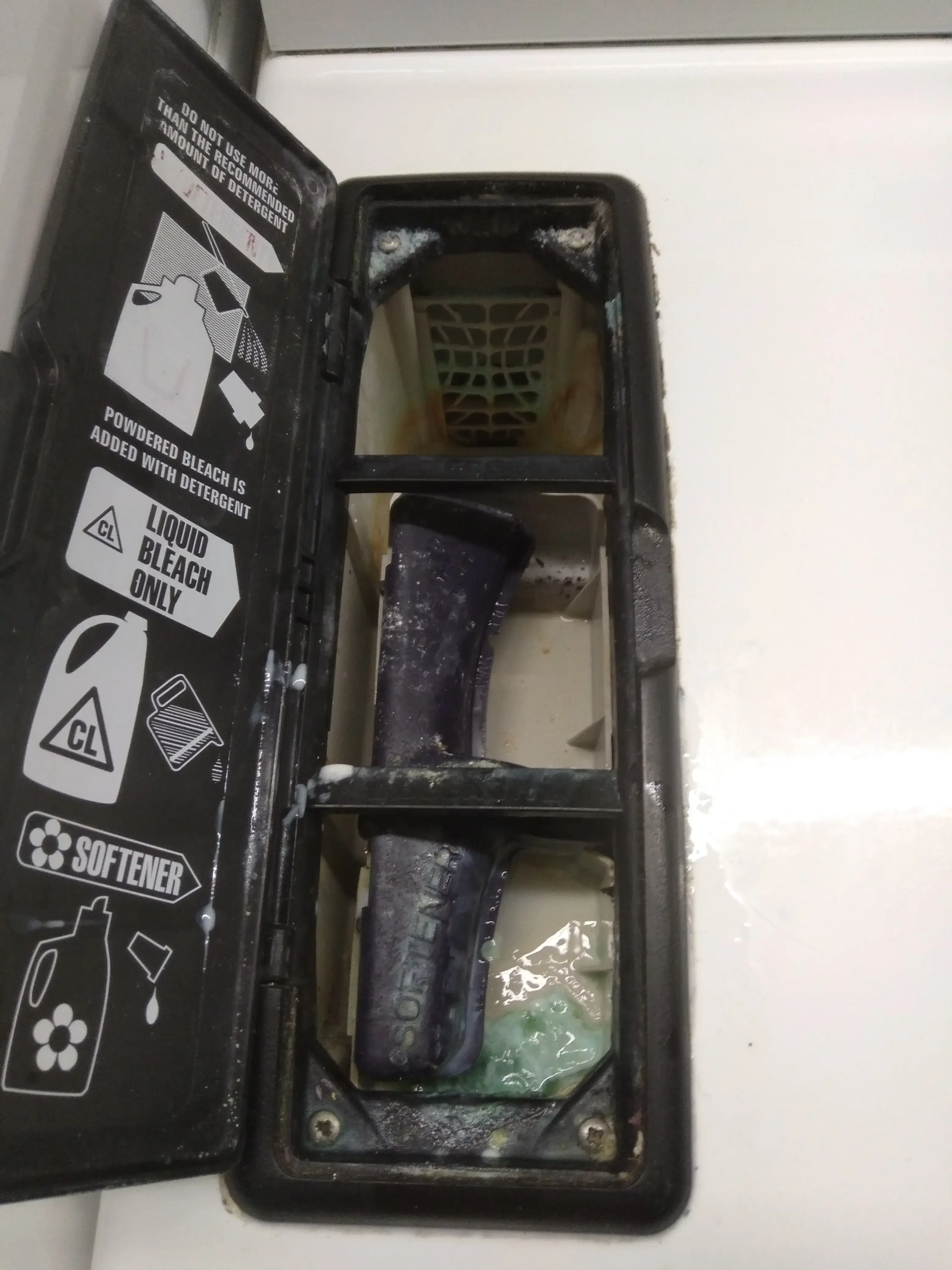 Sunshine Laundromat - Image 3