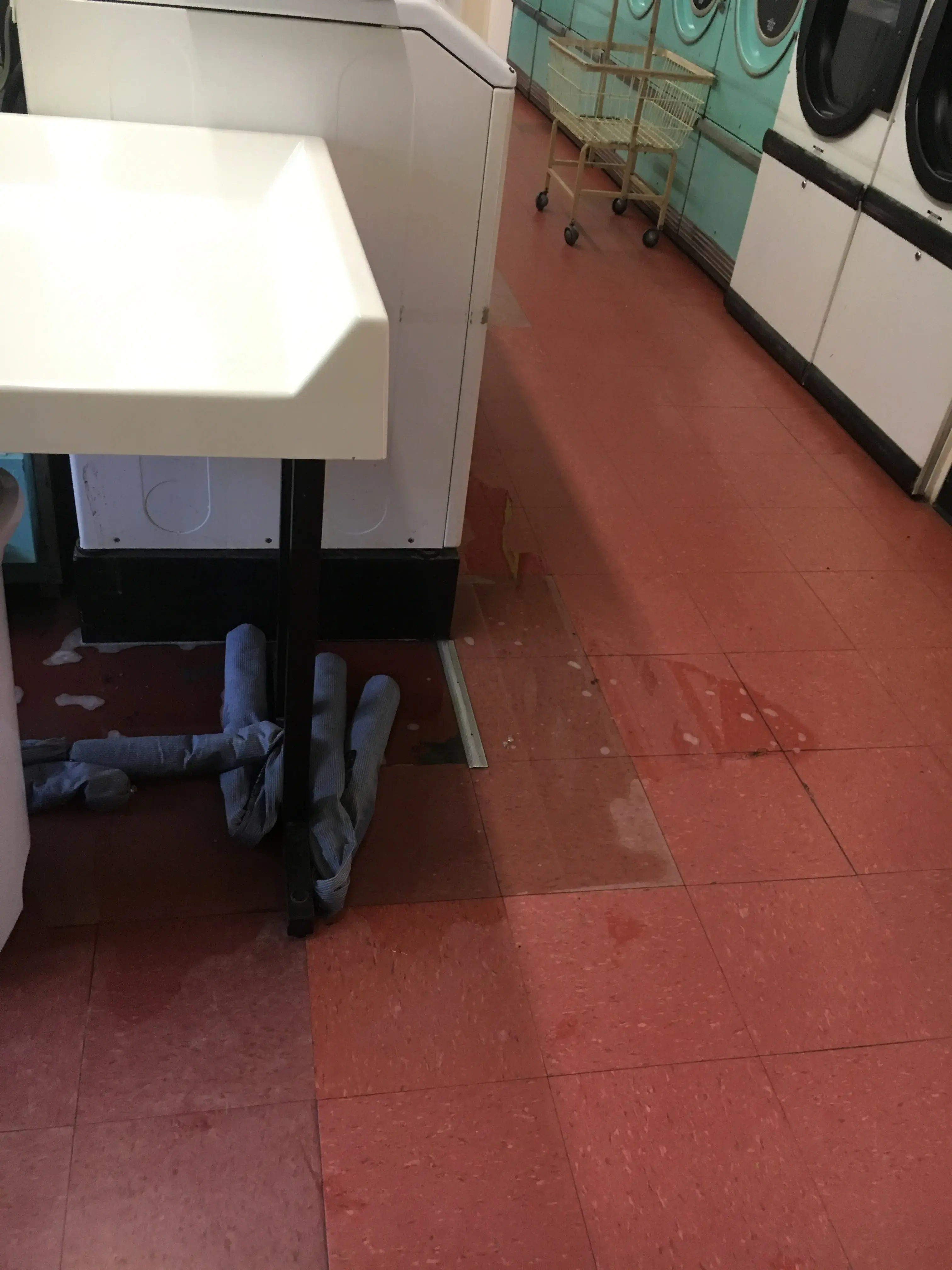 Sunshine Laundromat - Image 13