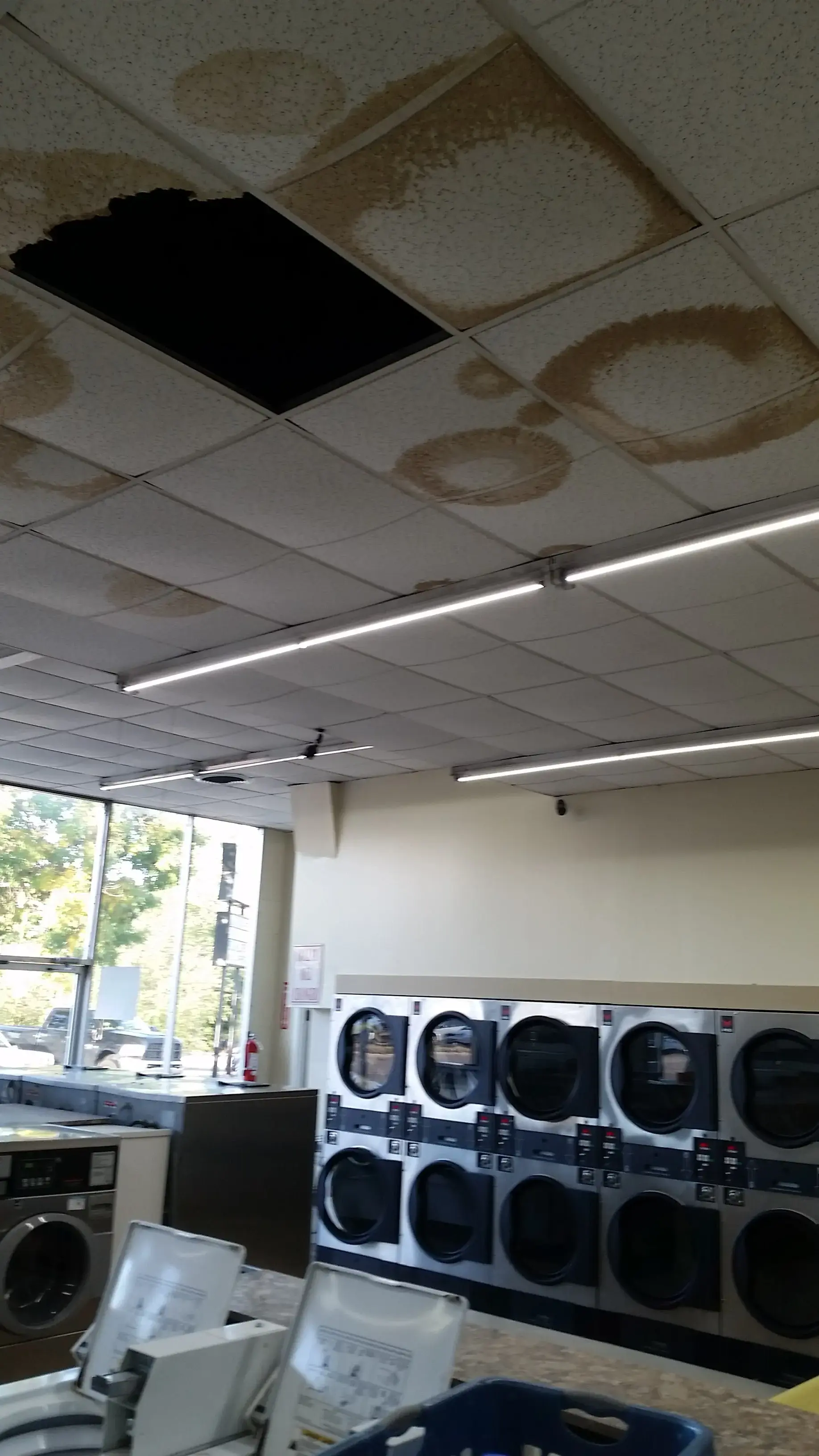 Sunshine Laundry Company - Image 5