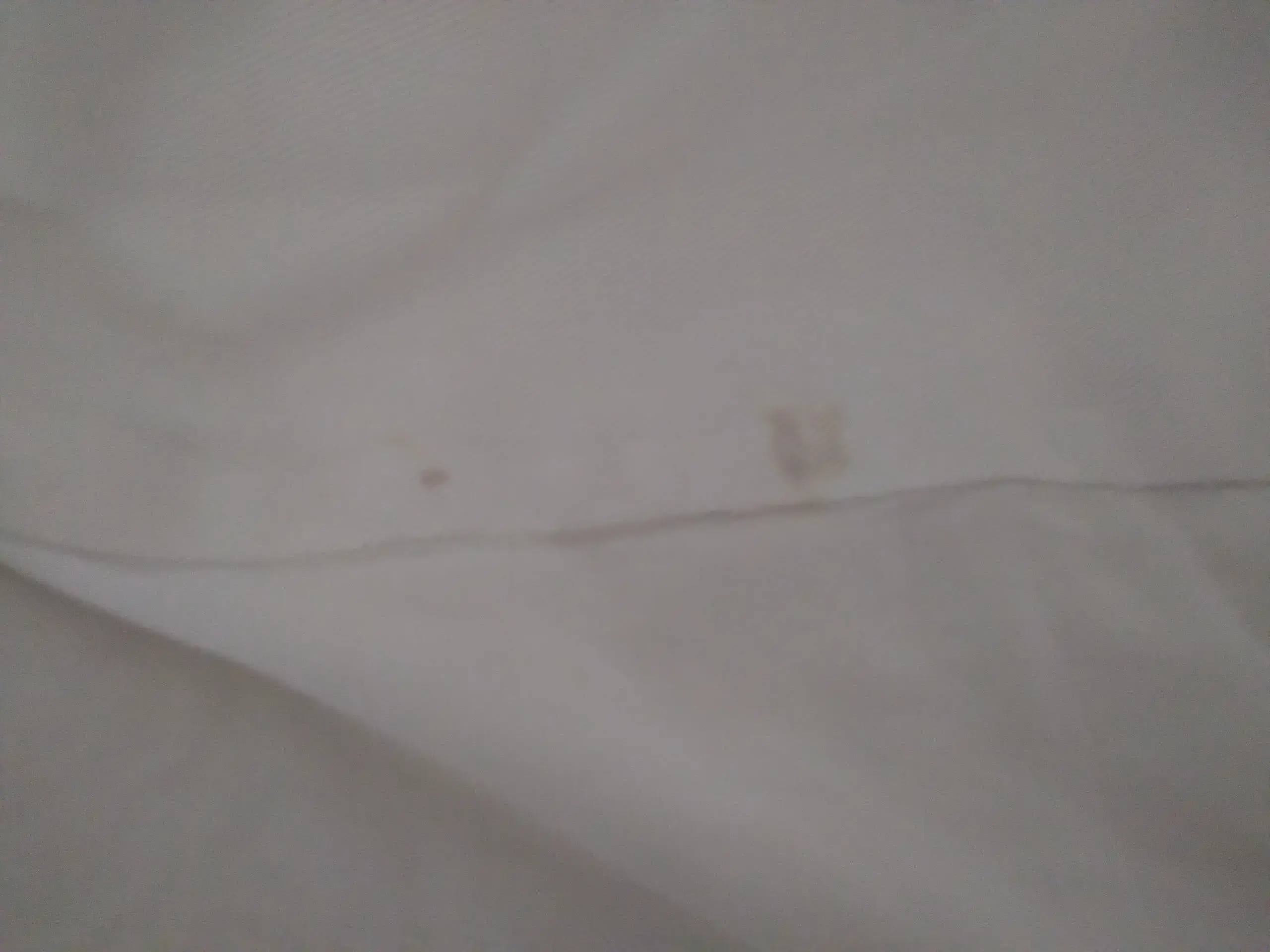 Sunshine Laundry & Dry Cleaner - Image 18