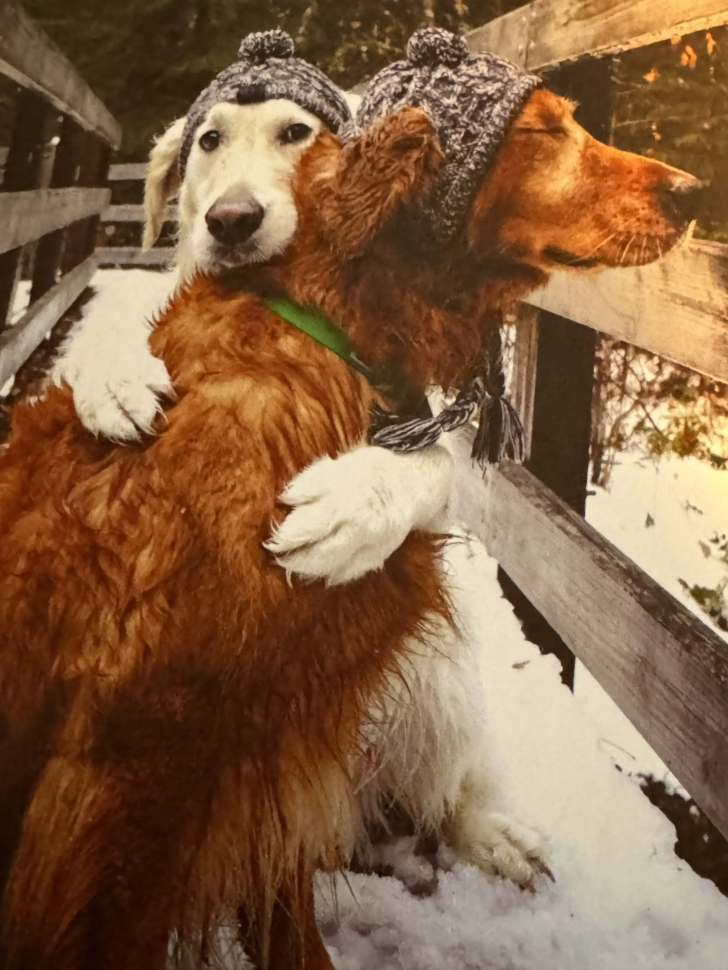 Sunshine Laundry & Dry Cleaner - Image 5