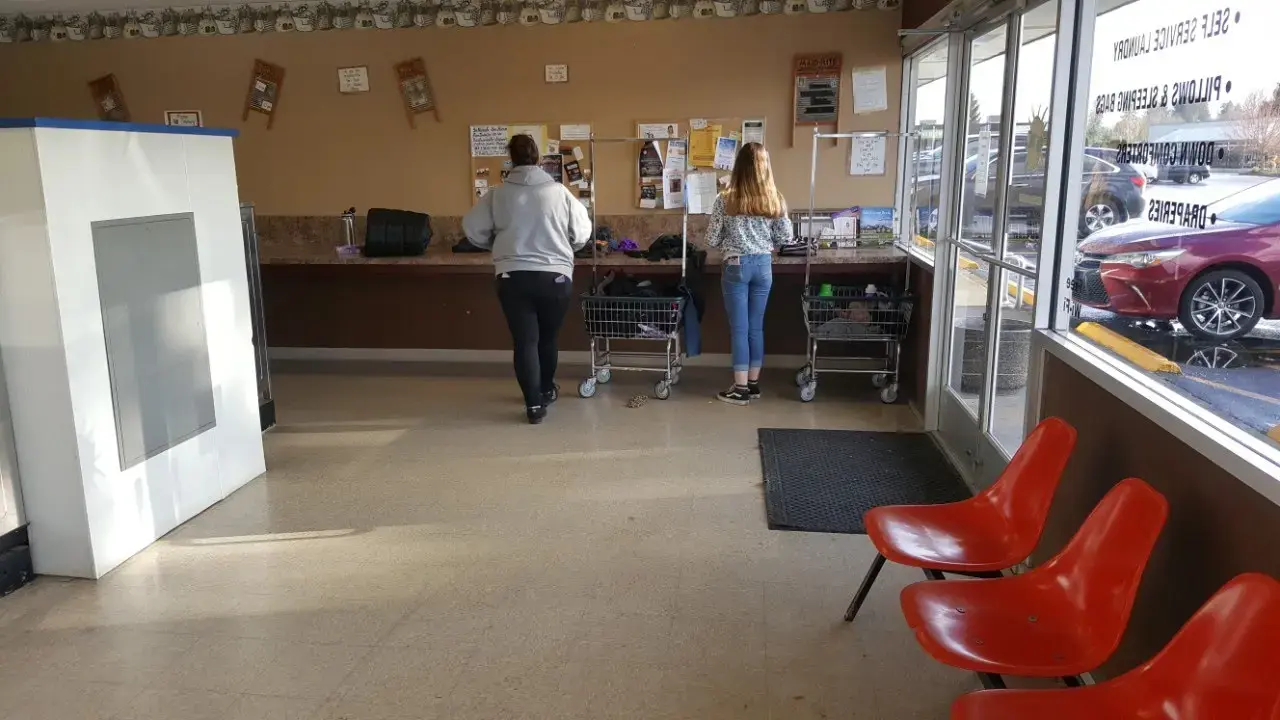 Sunshine Laundry, LLC thumbnail 19