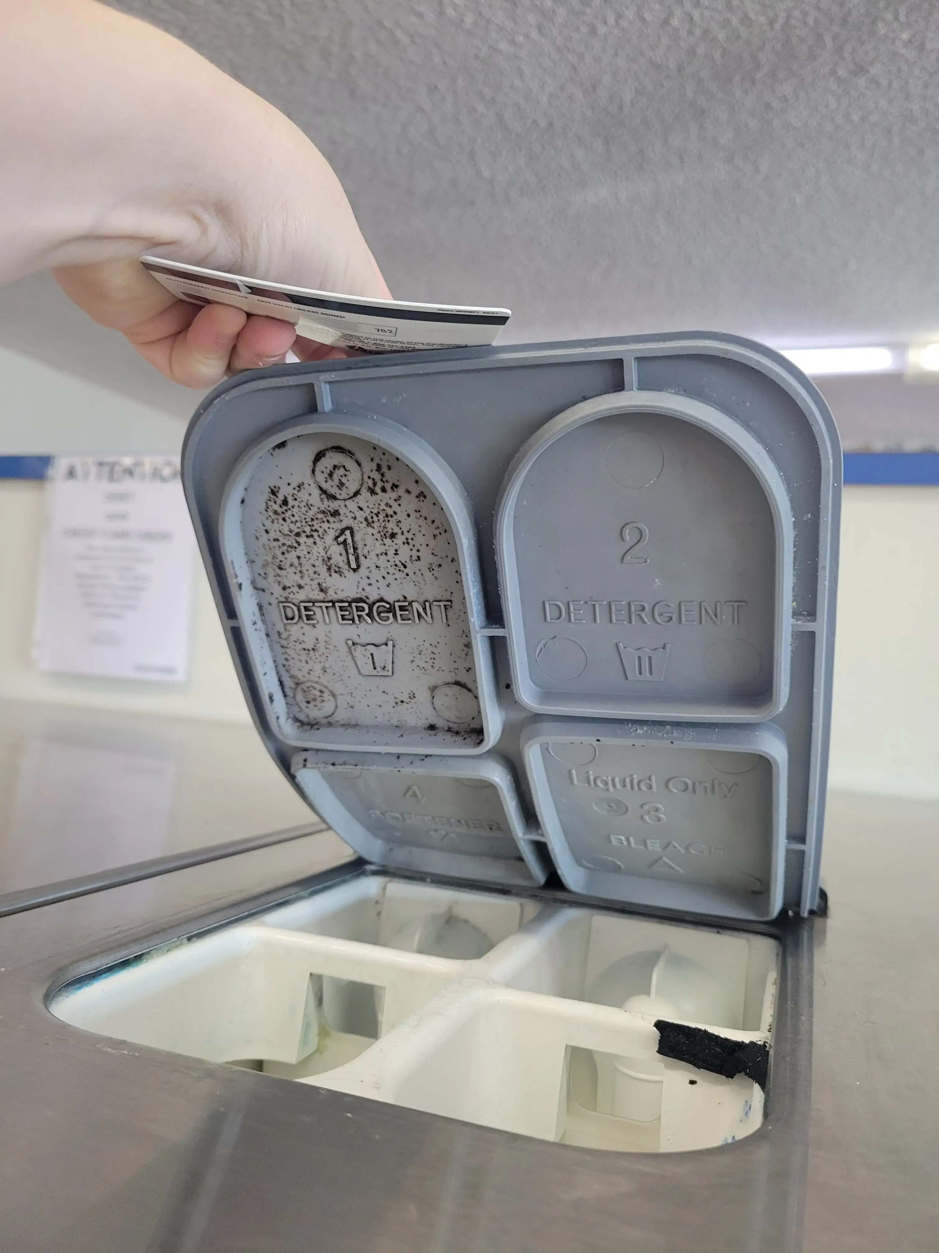 Sunshine Laundry, LLC - Image 5