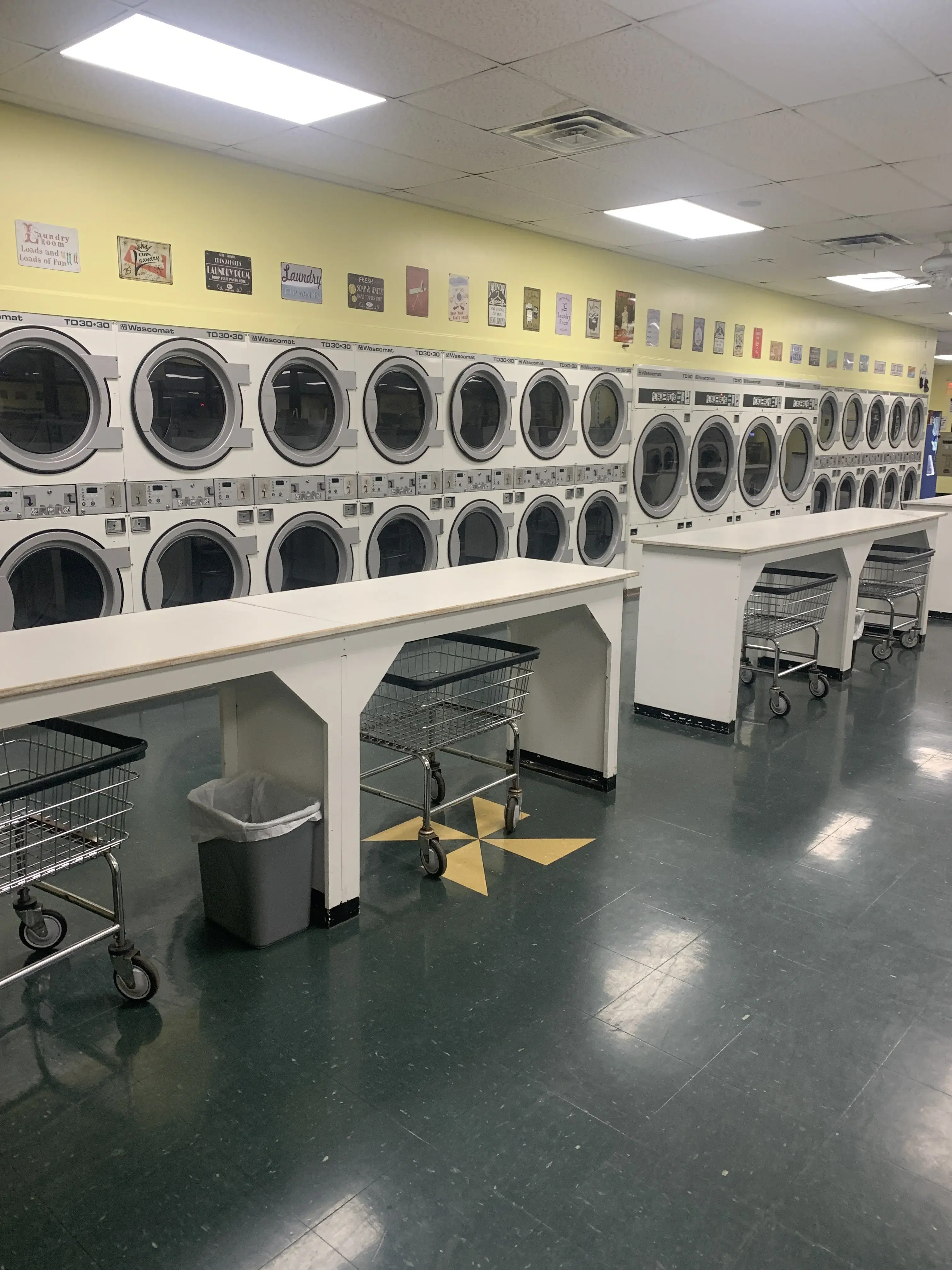 Sunshine Laundry thumbnail 10