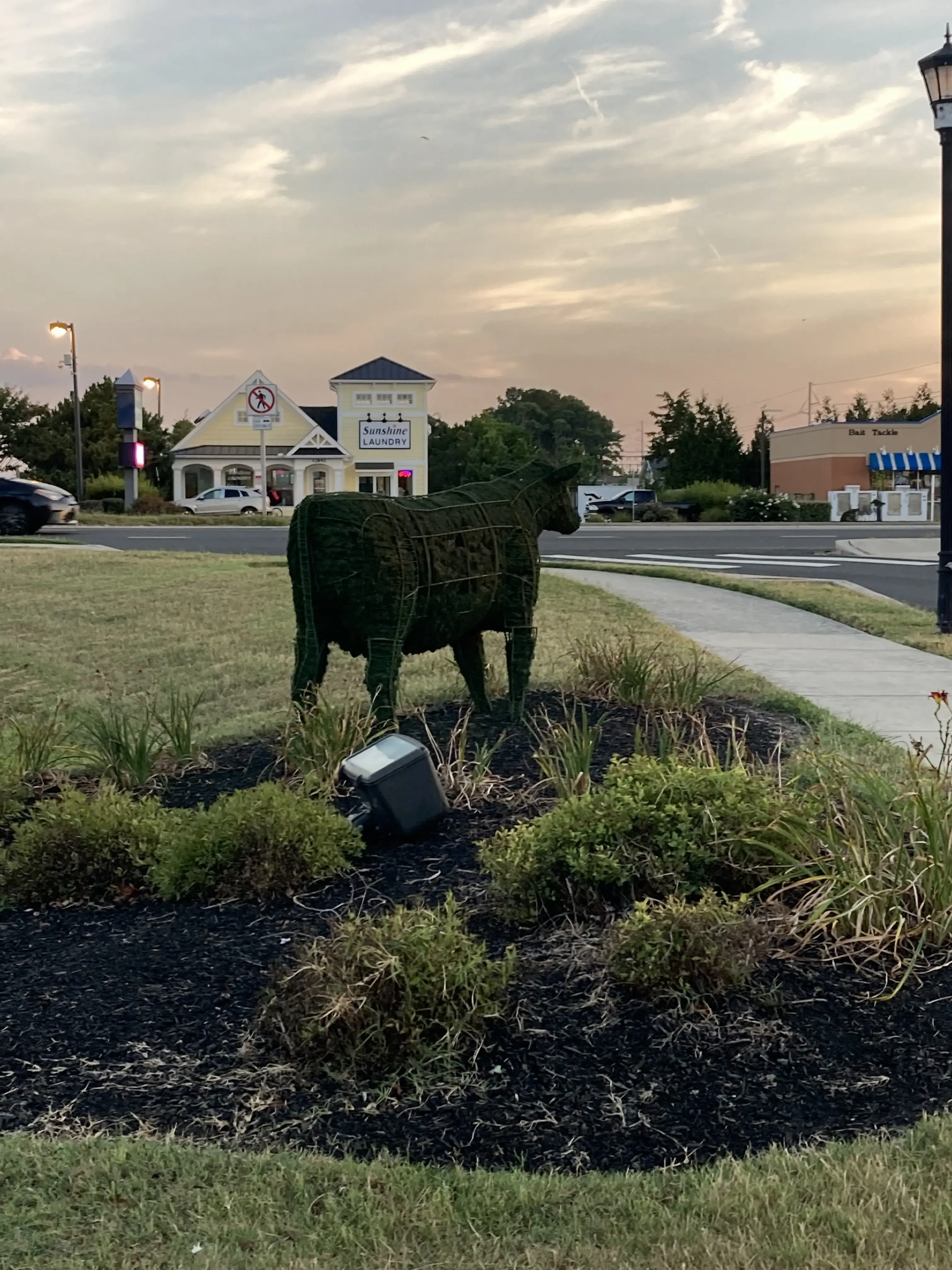 Sunshine Laundry thumbnail 5