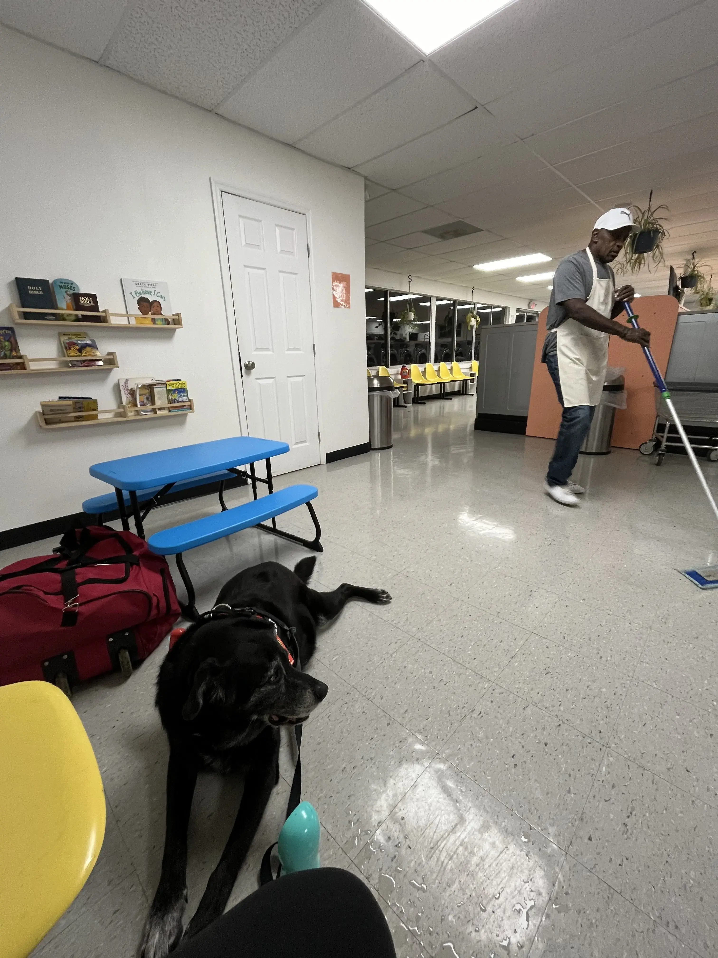 Sunshine Suds Laundromat thumbnail 8