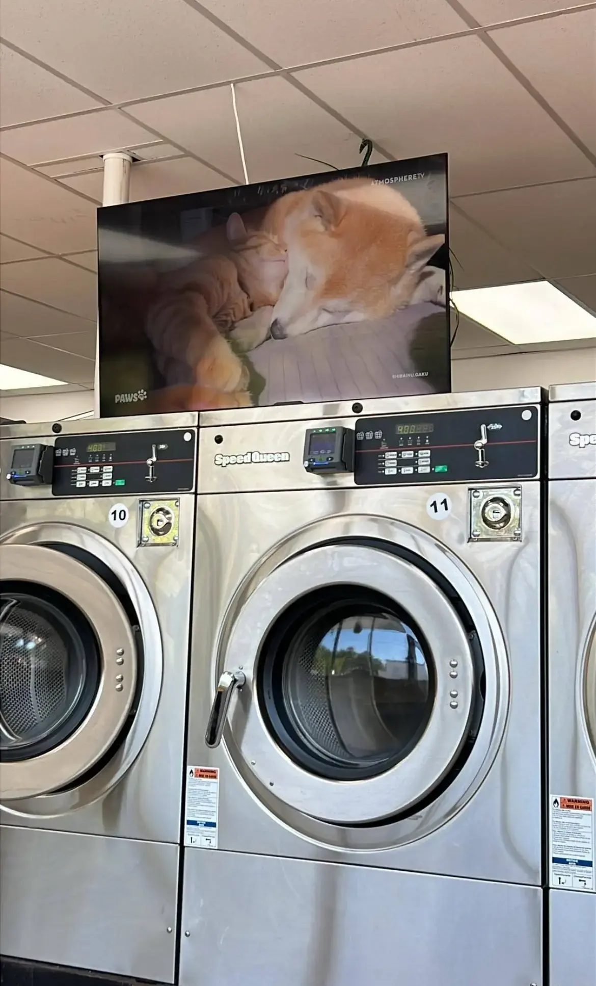 Sunshine Suds Laundromat thumbnail 18