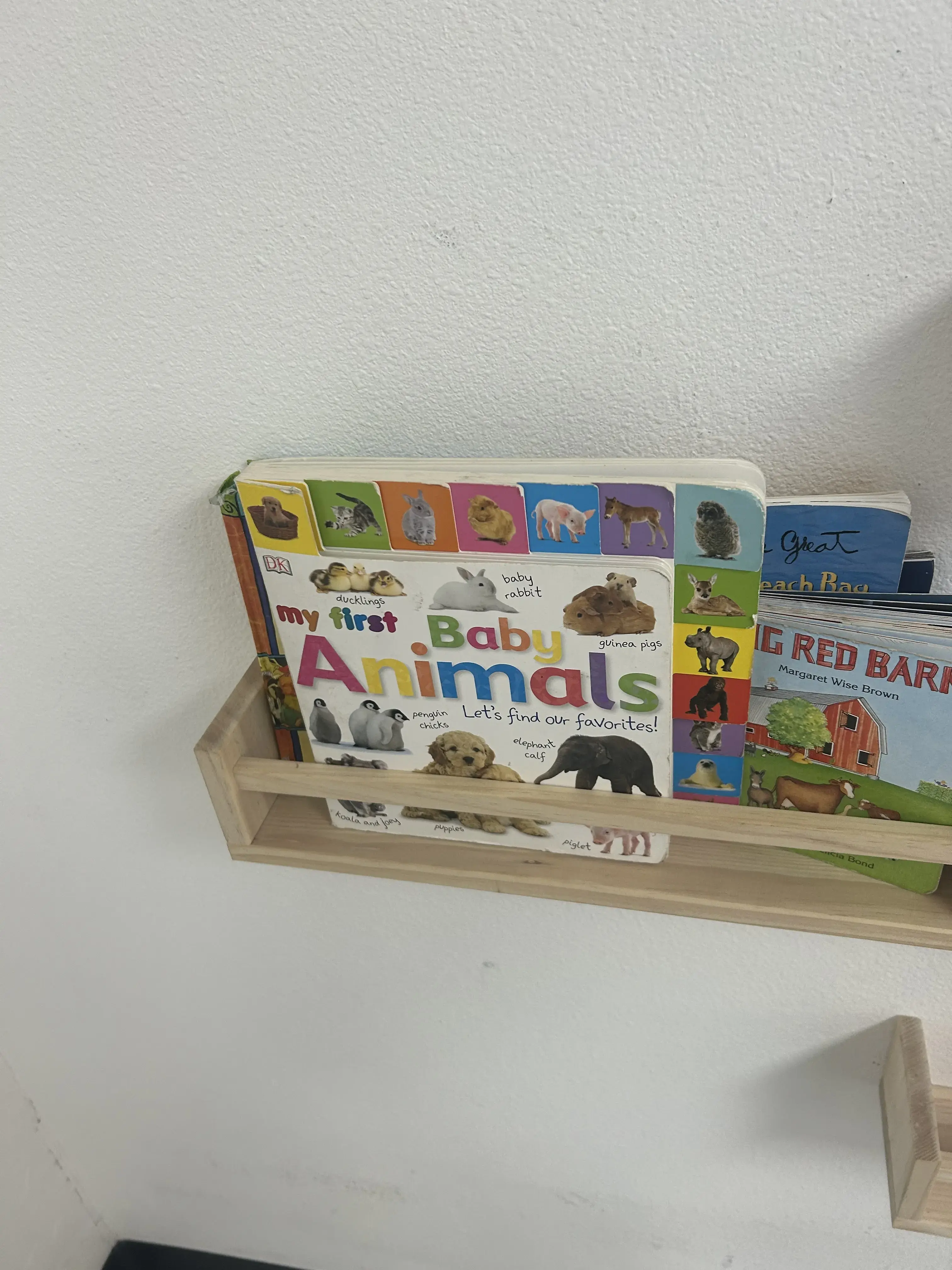 Sunshine Suds Laundromat - Image 9