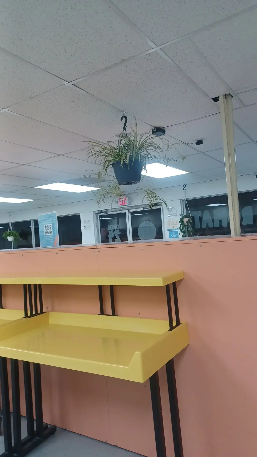 Sunshine Suds Laundromat - Image 13