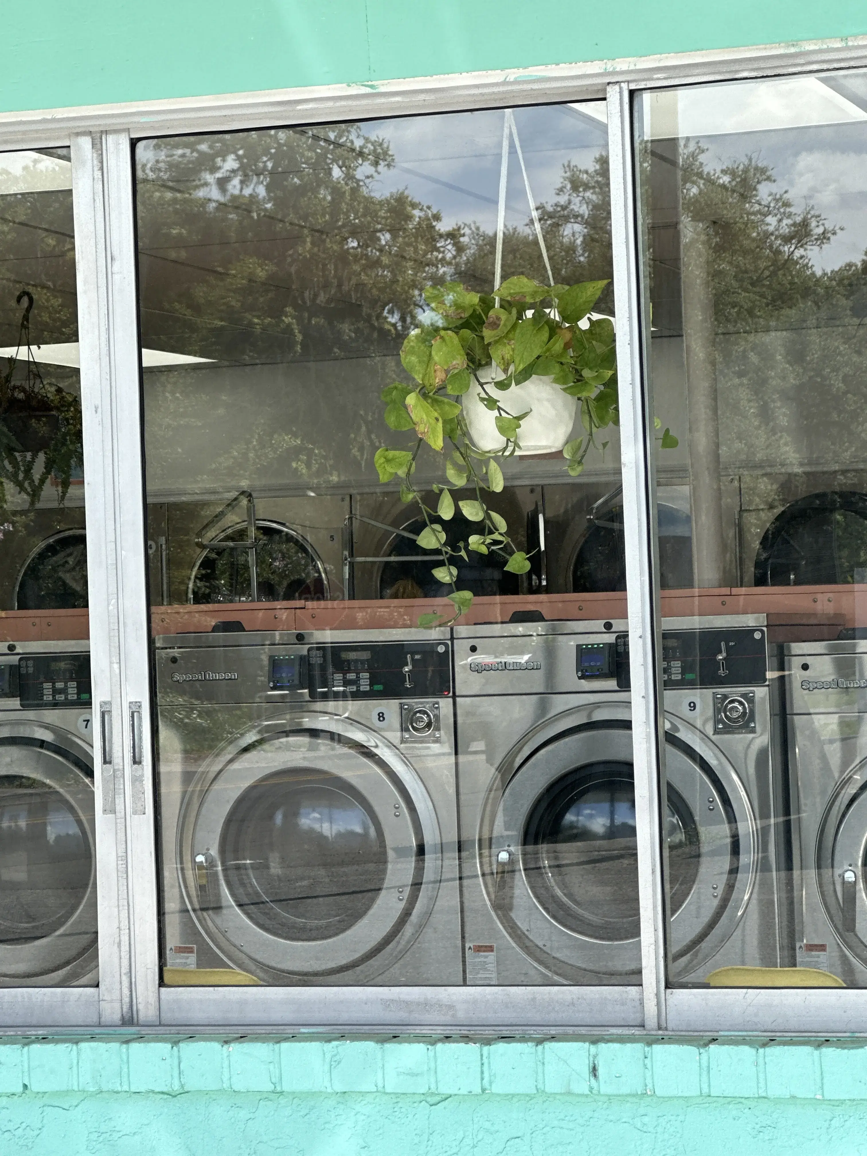 Sunshine Suds Laundromat thumbnail 6