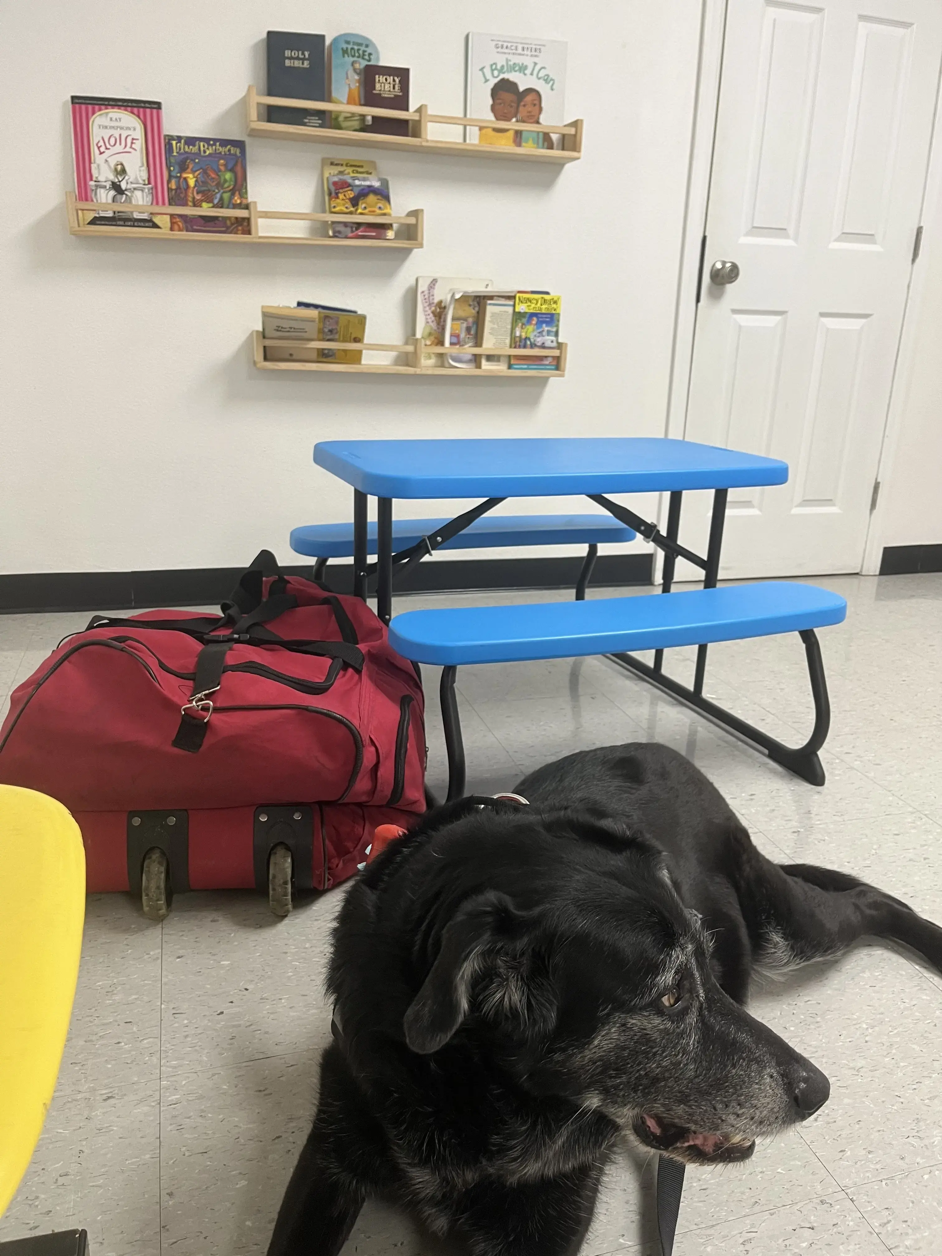 Sunshine Suds Laundromat thumbnail 7