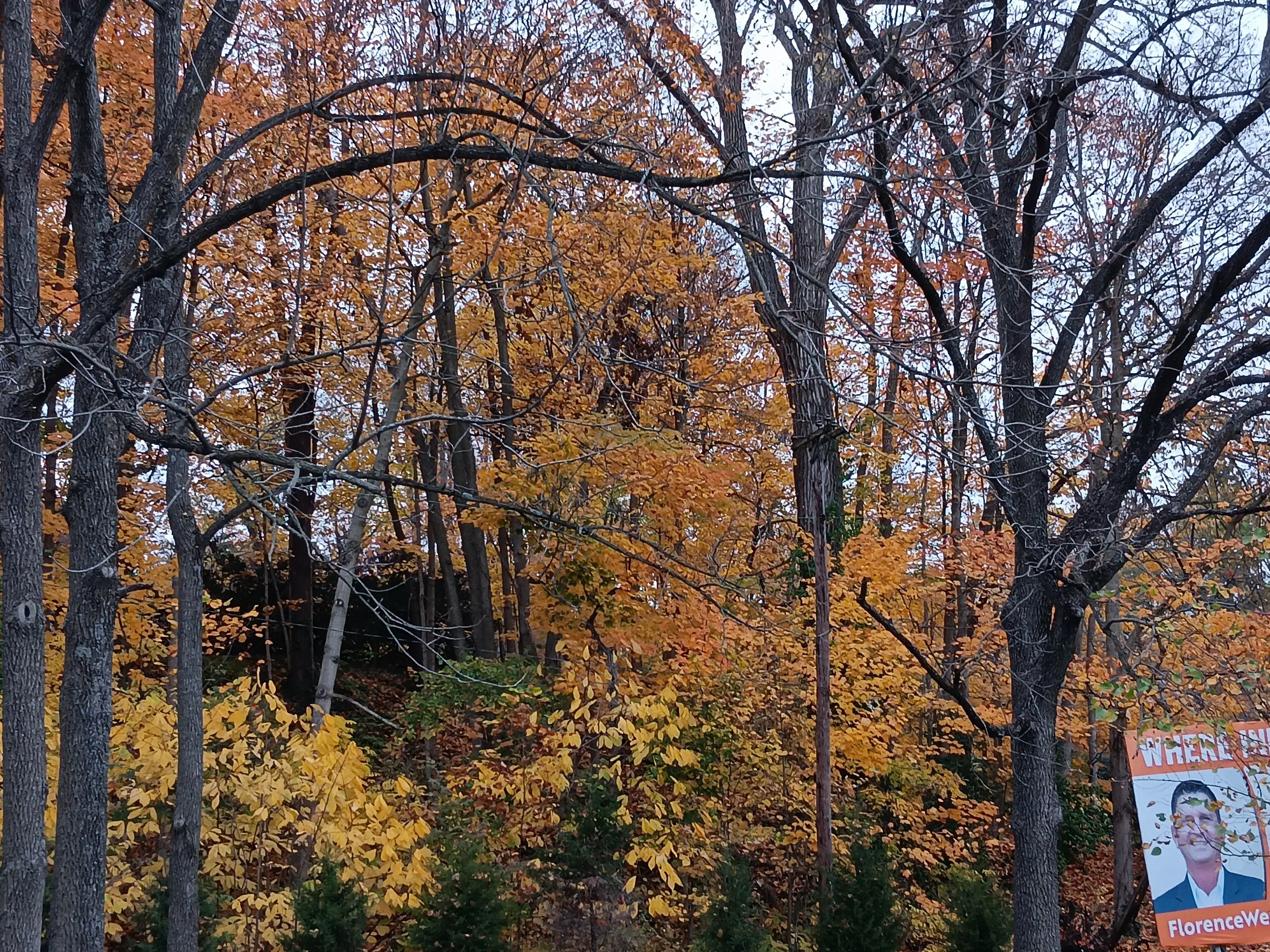 Super Clean Coin-Op Laundry thumbnail 18