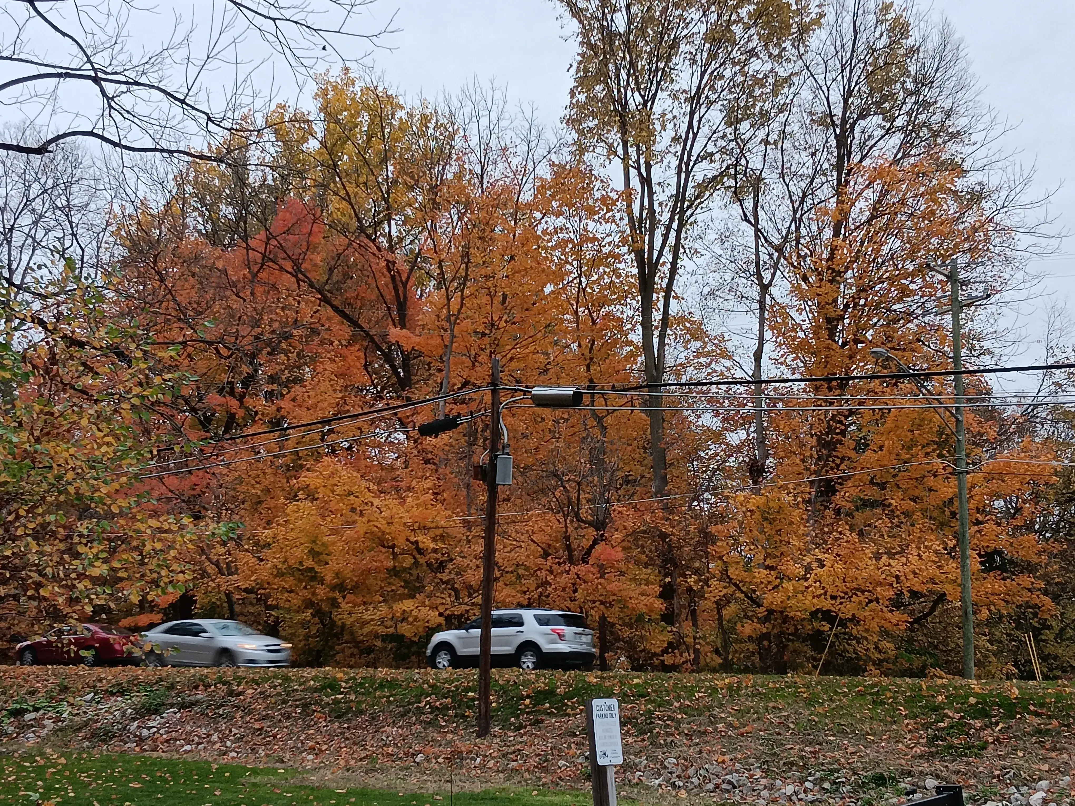 Super Clean Coin-Op Laundry - Image 6