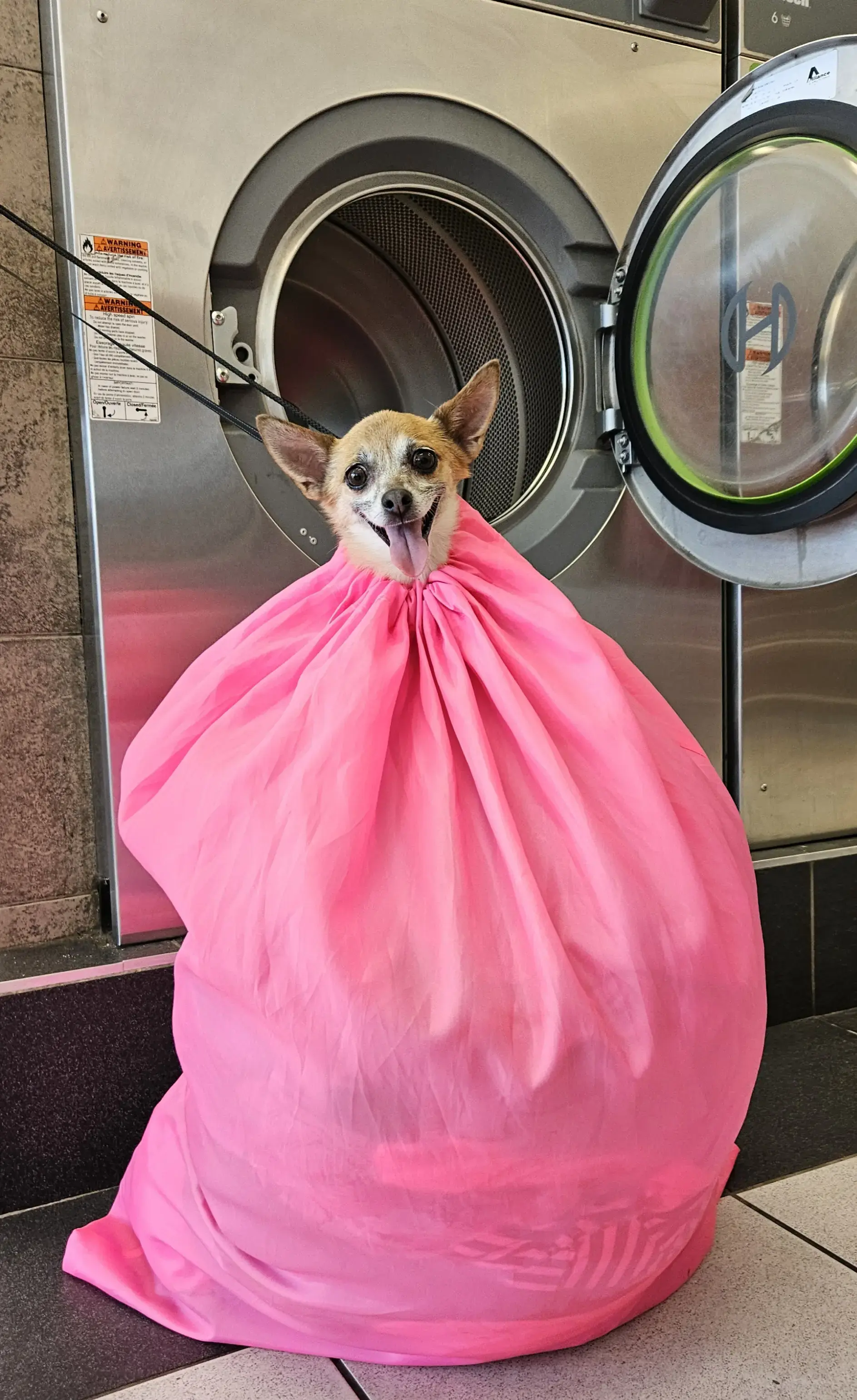 Super Clean Laundromat thumbnail 11
