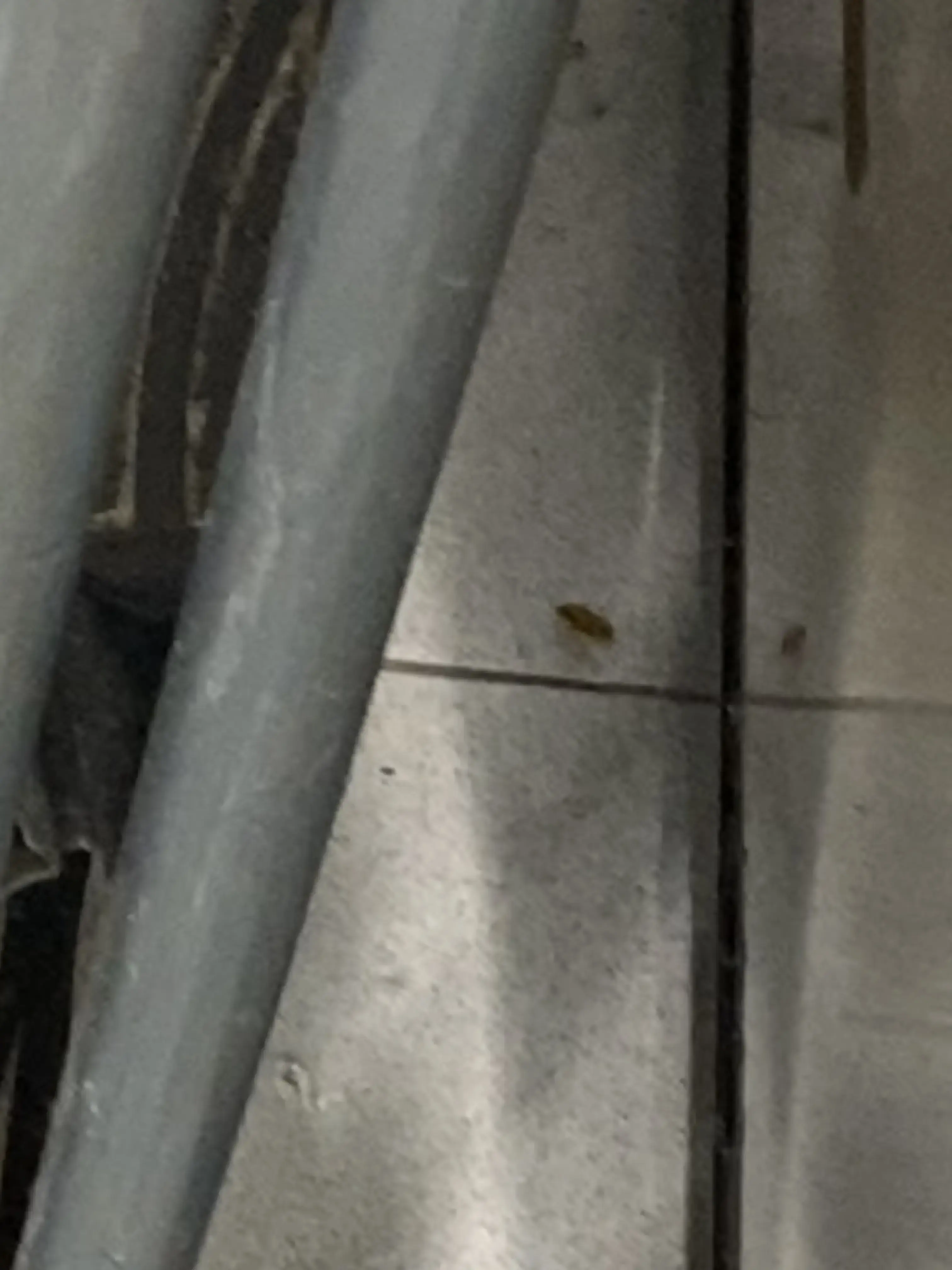 SUPER CLEAN Laundromat - Image 4