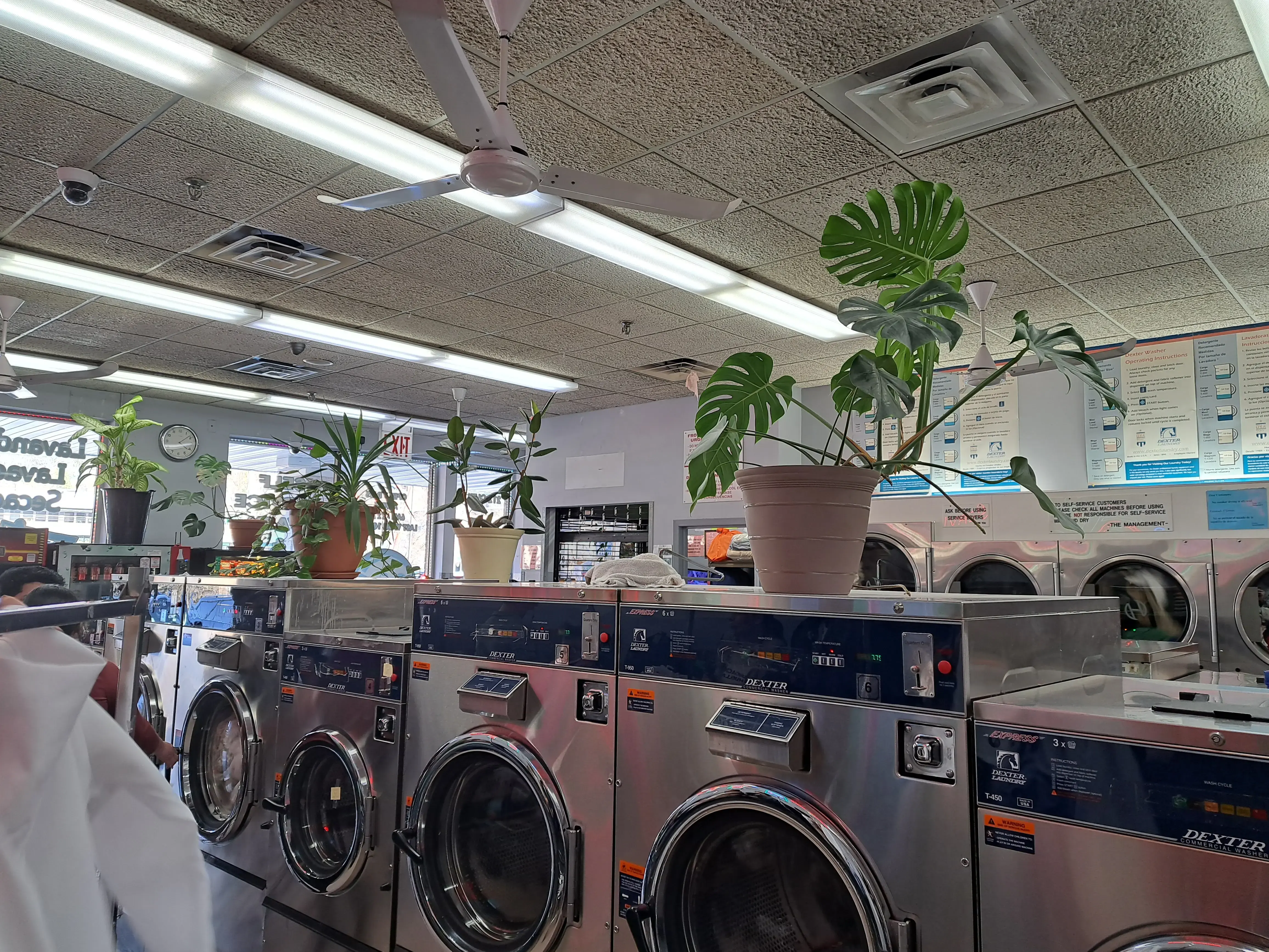 Super Laundry of Glen Cove Inc thumbnail 3