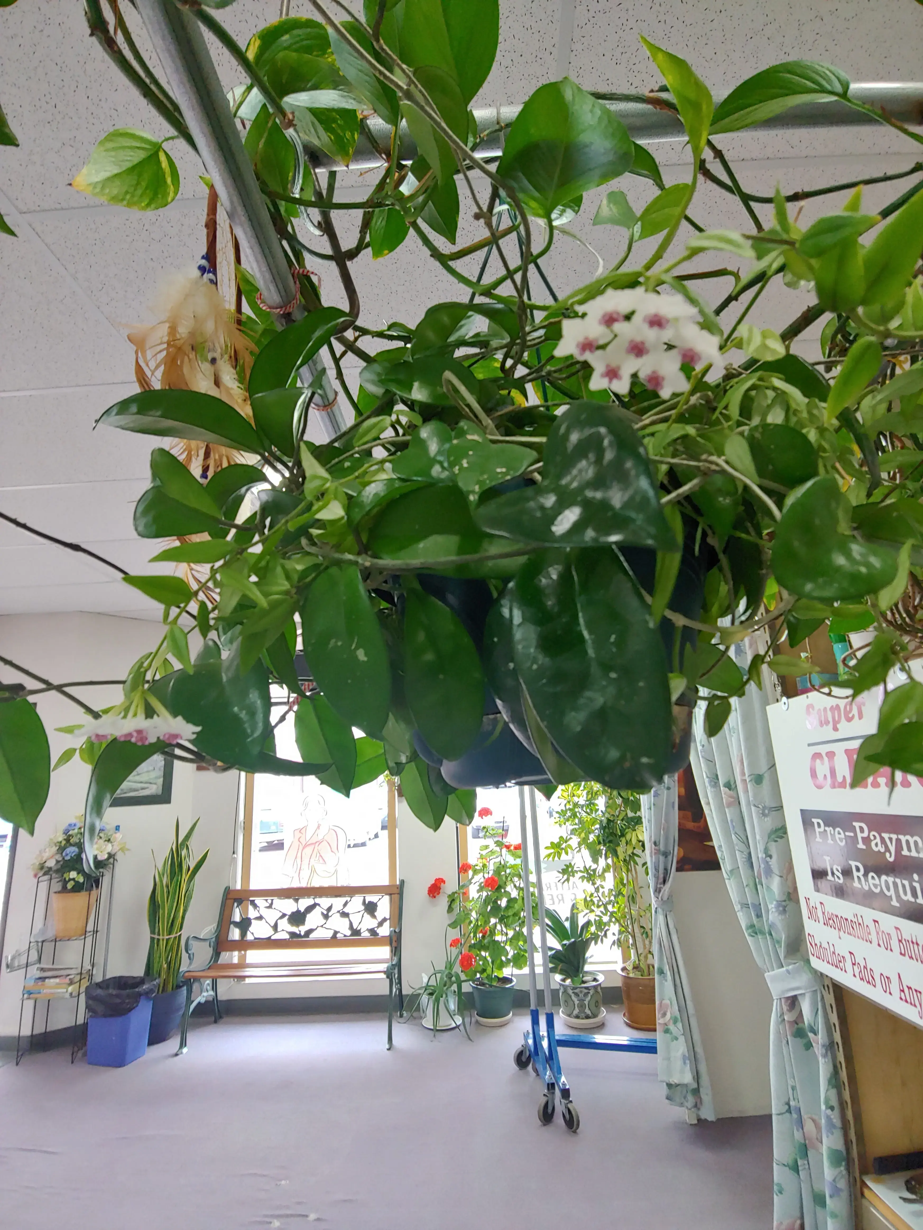 Super quality Cleaners - Image 6