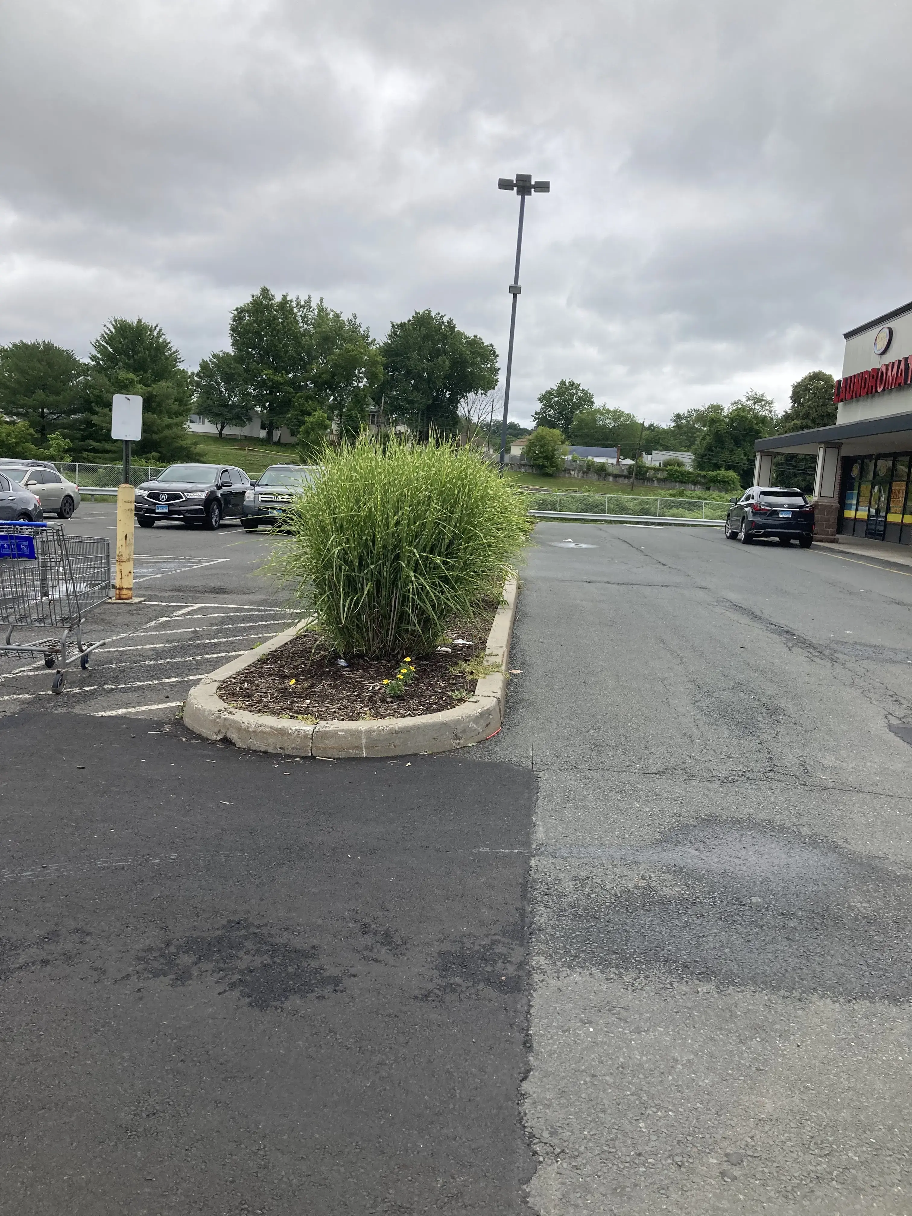 Super Saver Free Dry Laundromat thumbnail 11