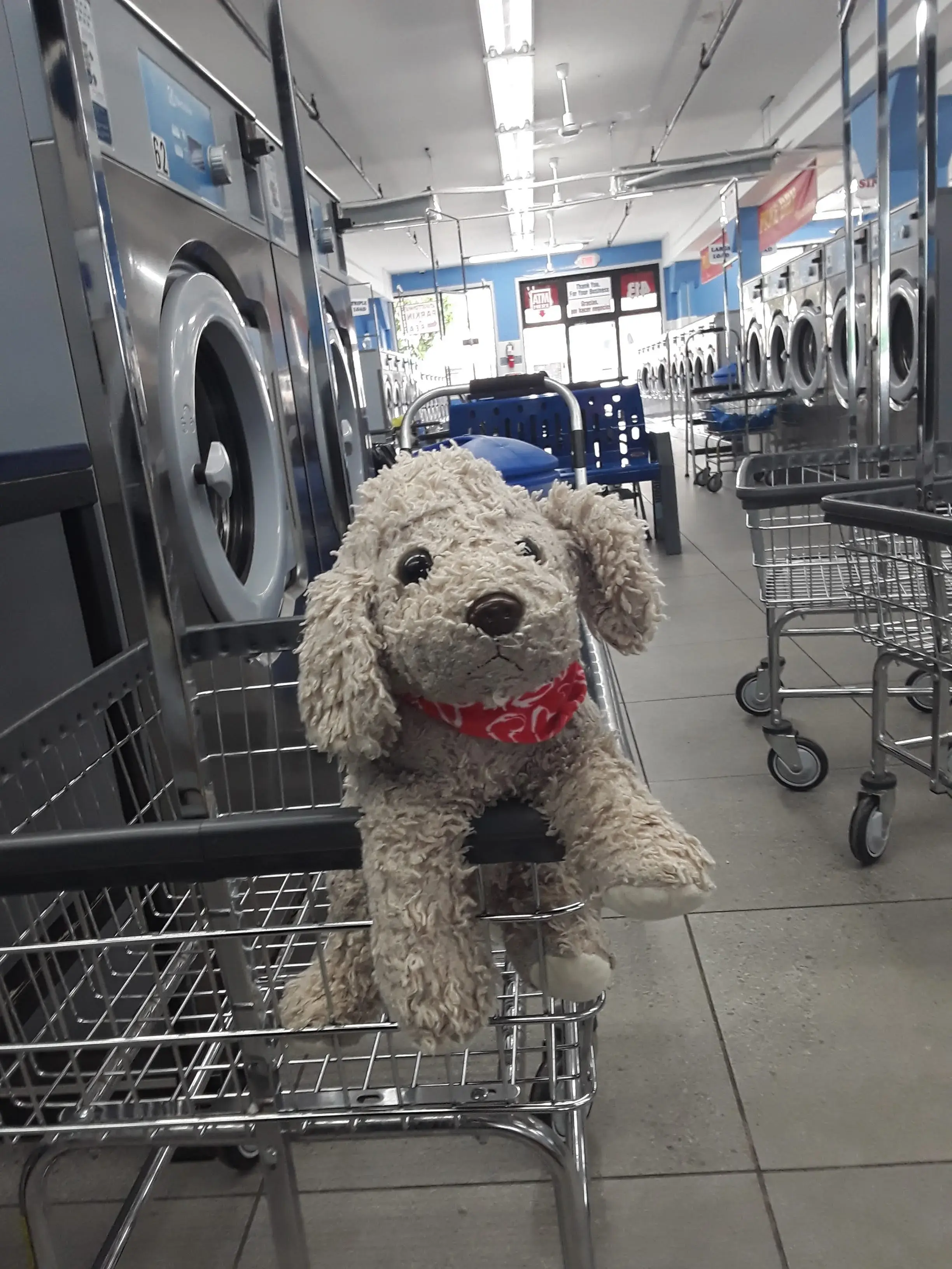 Super Saver Giant Laundromat thumbnail 4
