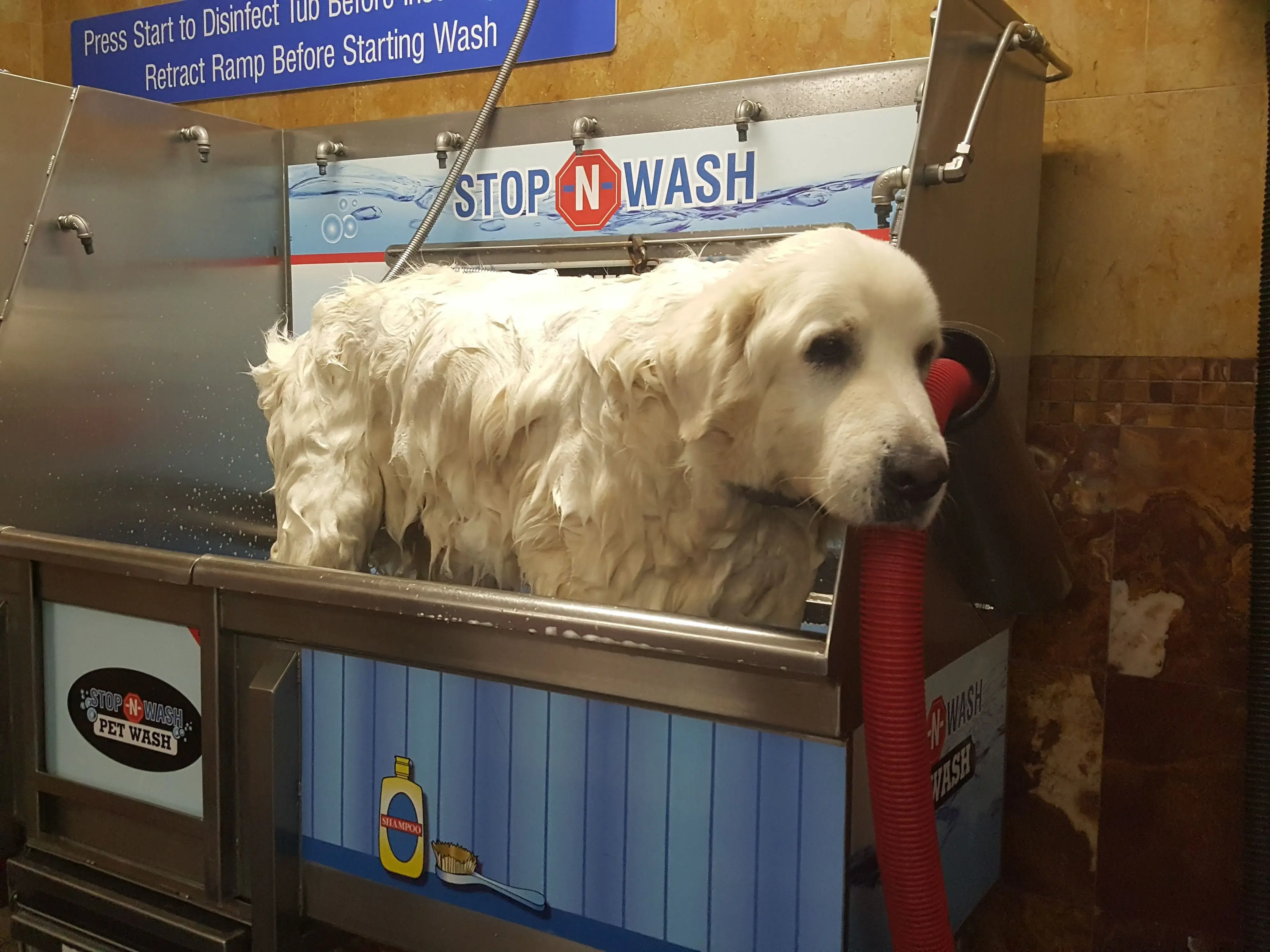 Super Suds Laundromat & Wash and Fold - Image 12
