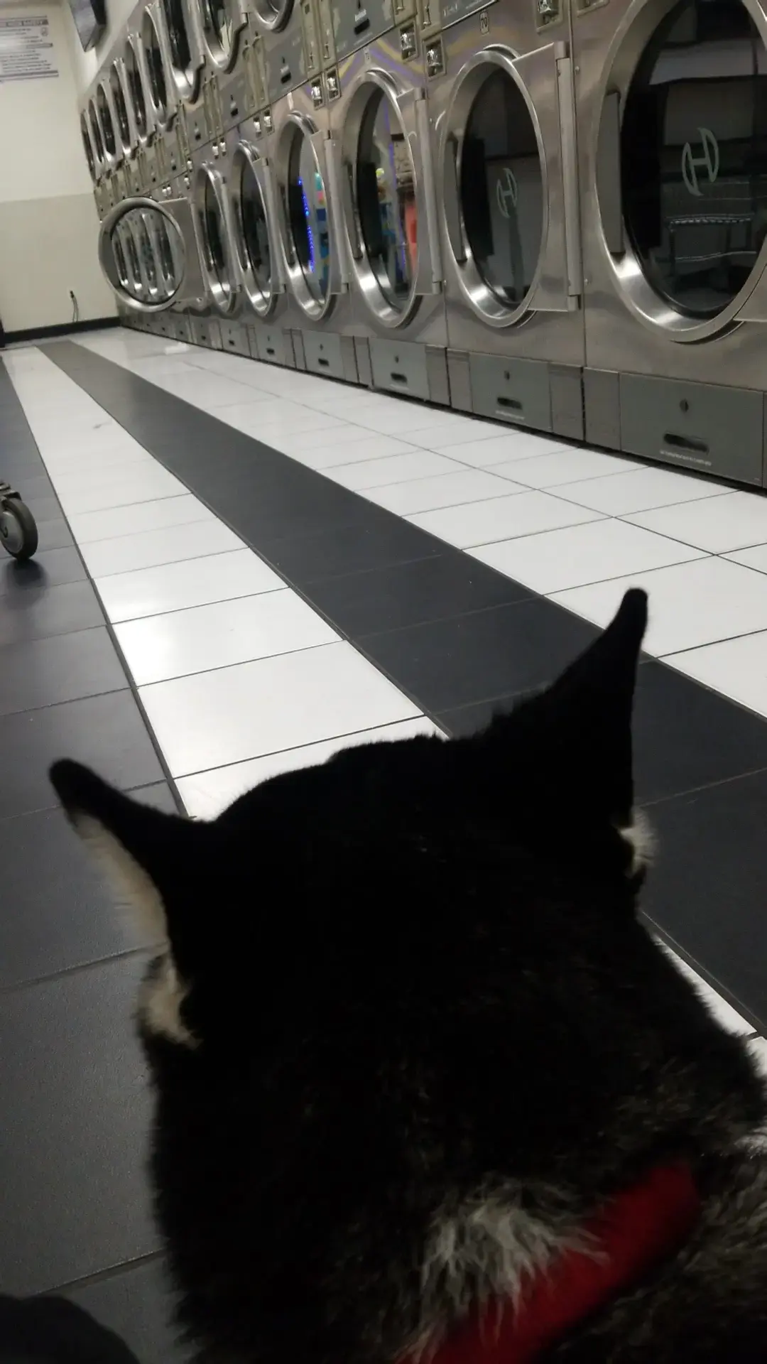 Super Wash N Dry thumbnail 17
