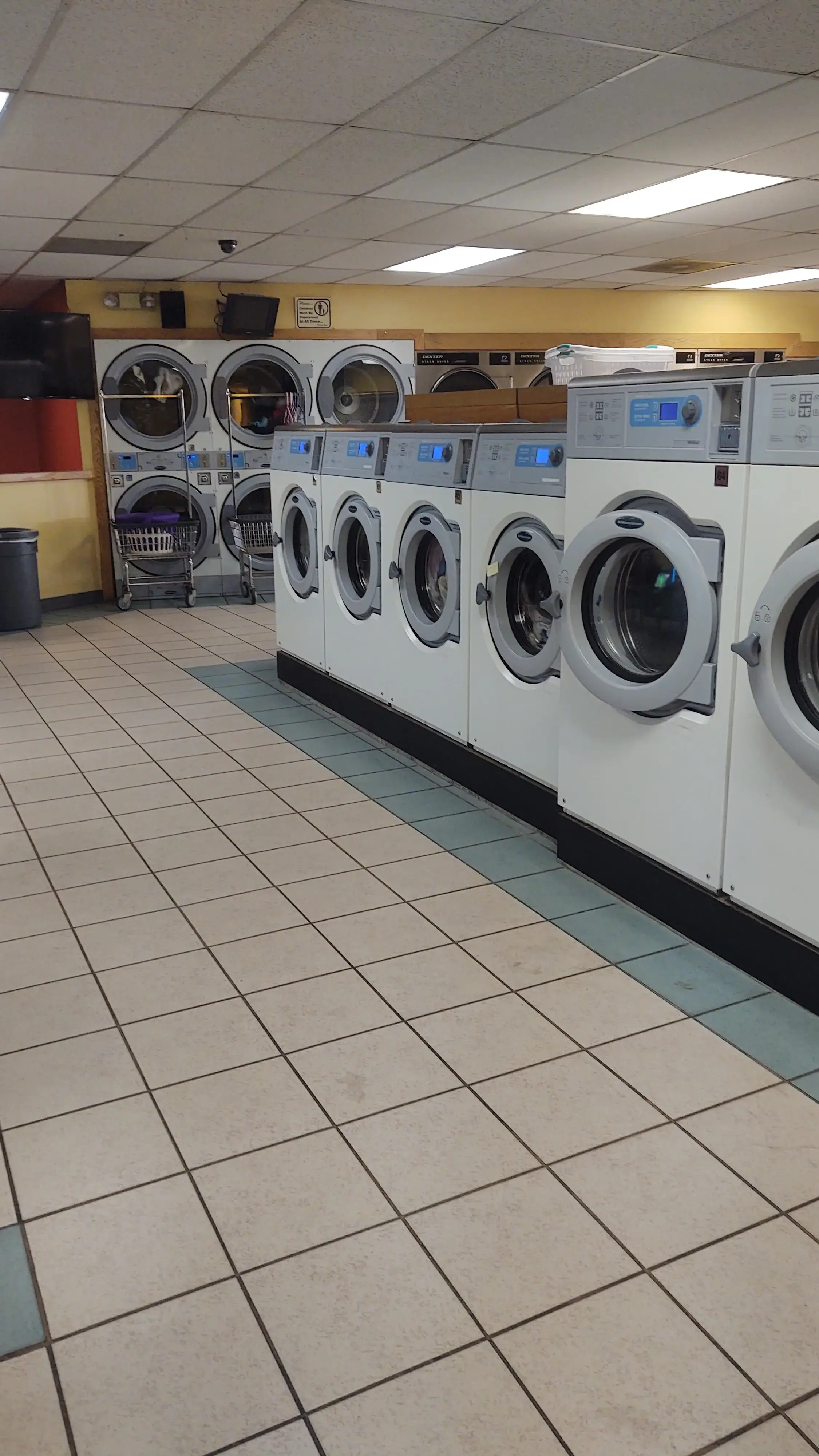 Superior Laundries - Image 19