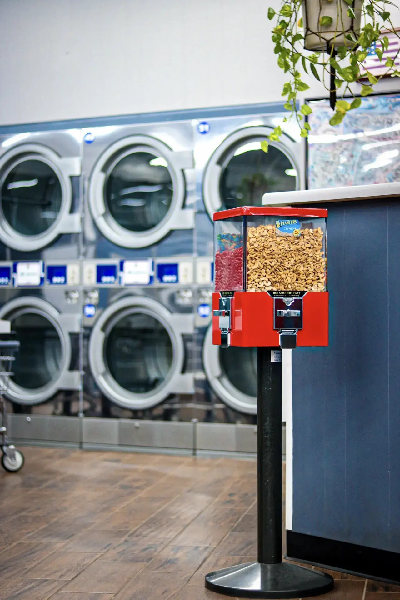 Supermat Laundromat - Image 11