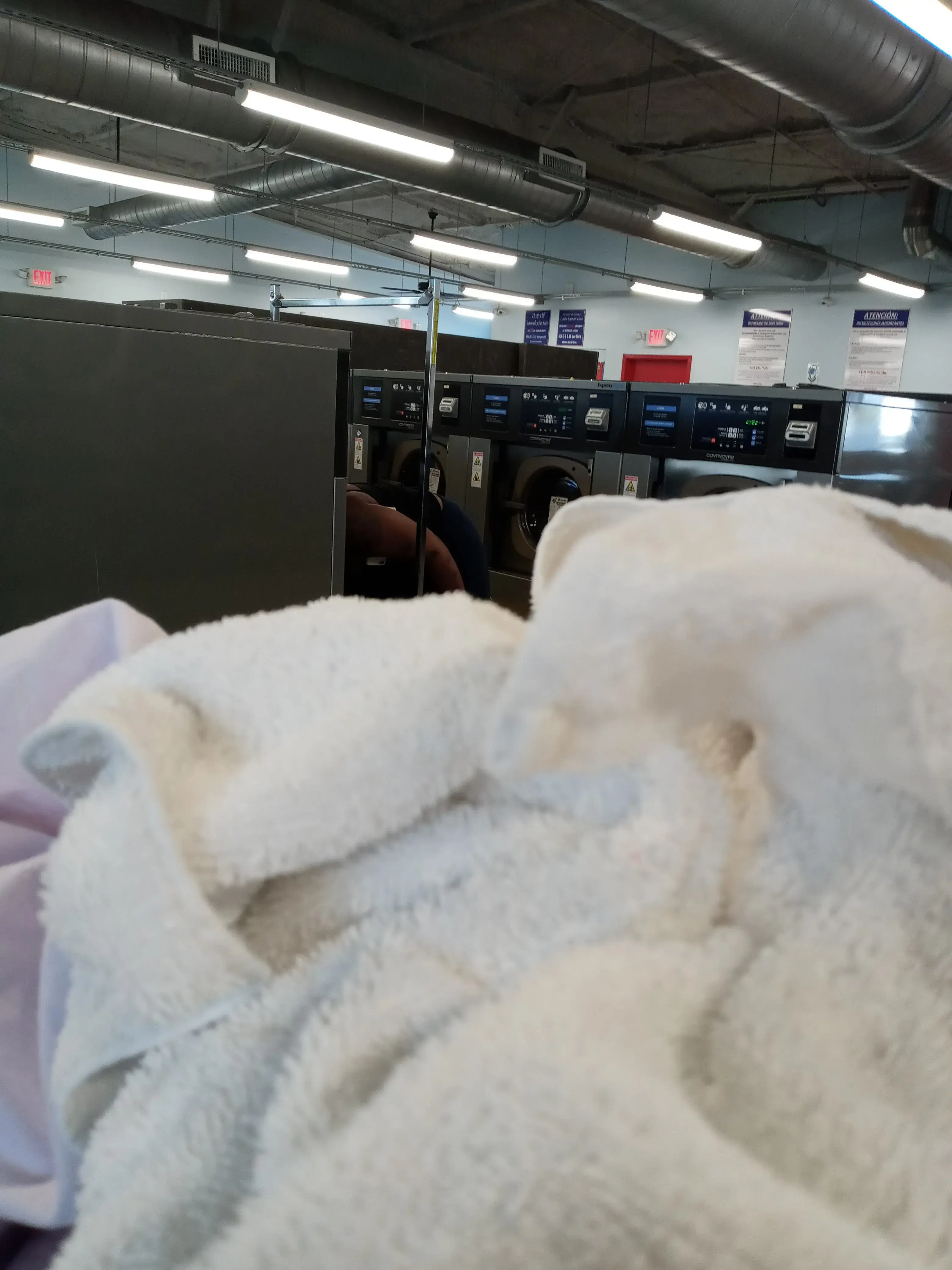 SuperMatt Laundry thumbnail 13