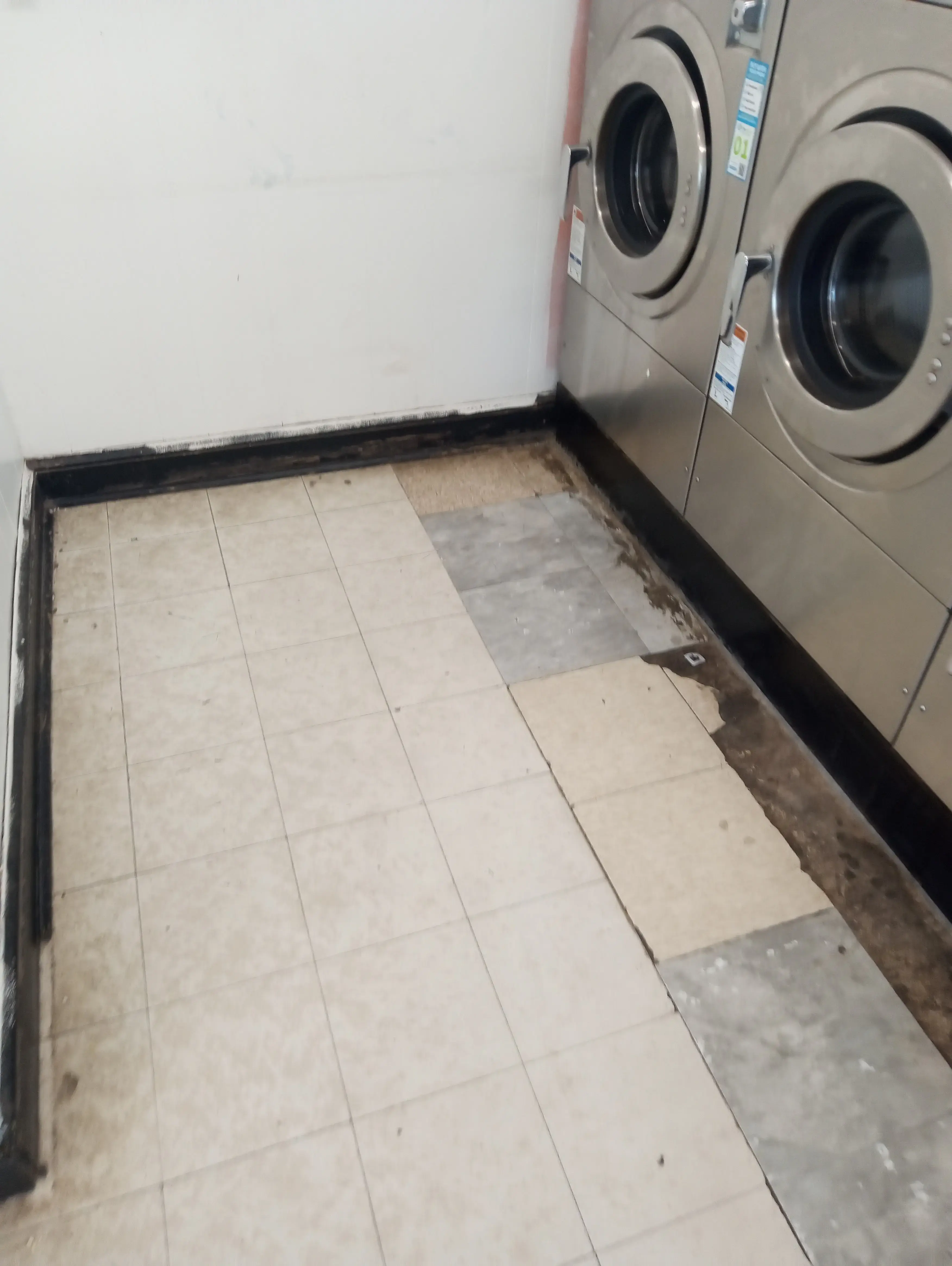 SuperSuds Laundromat thumbnail 13