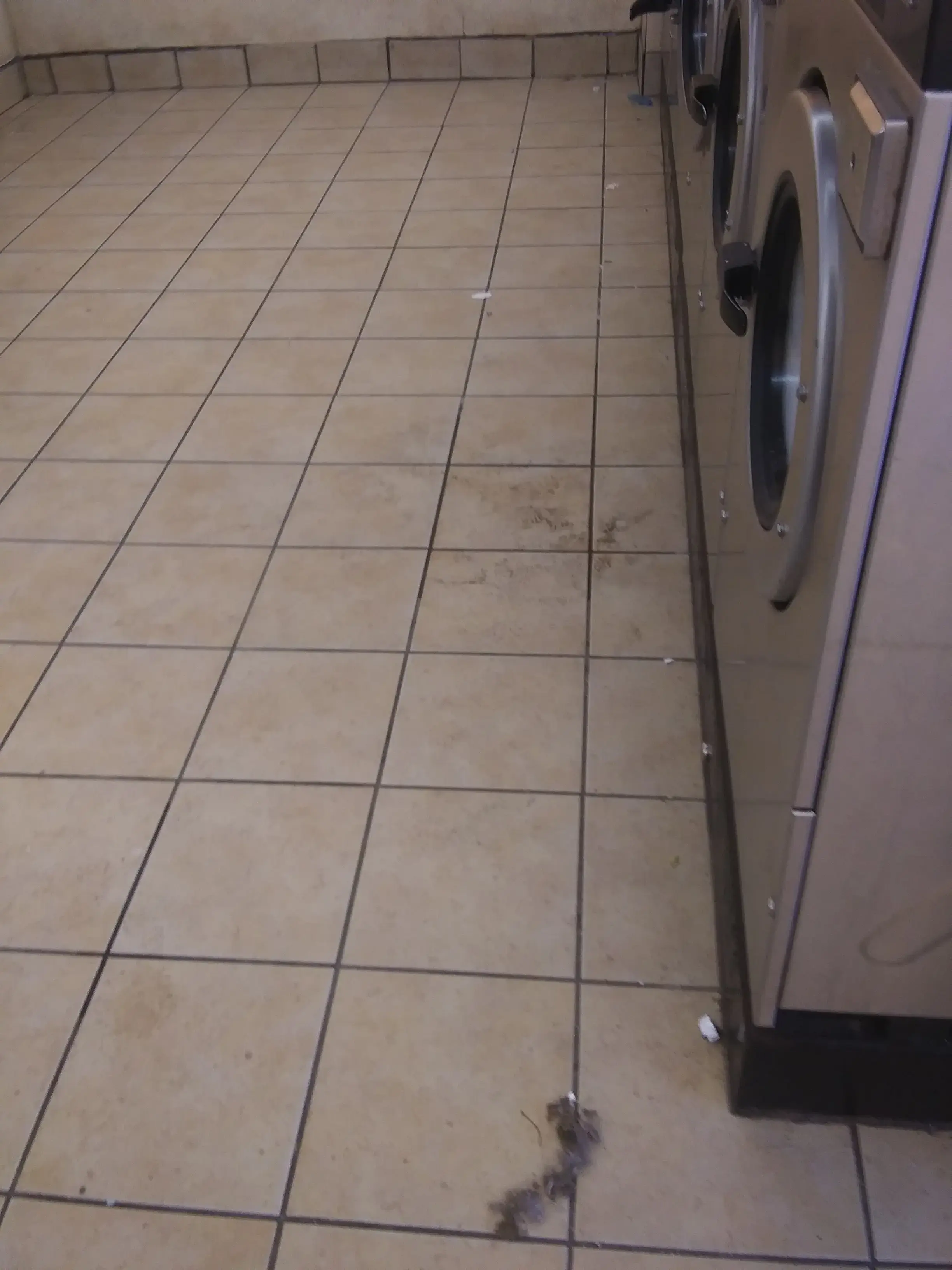SuperSuds Laundromat thumbnail 12