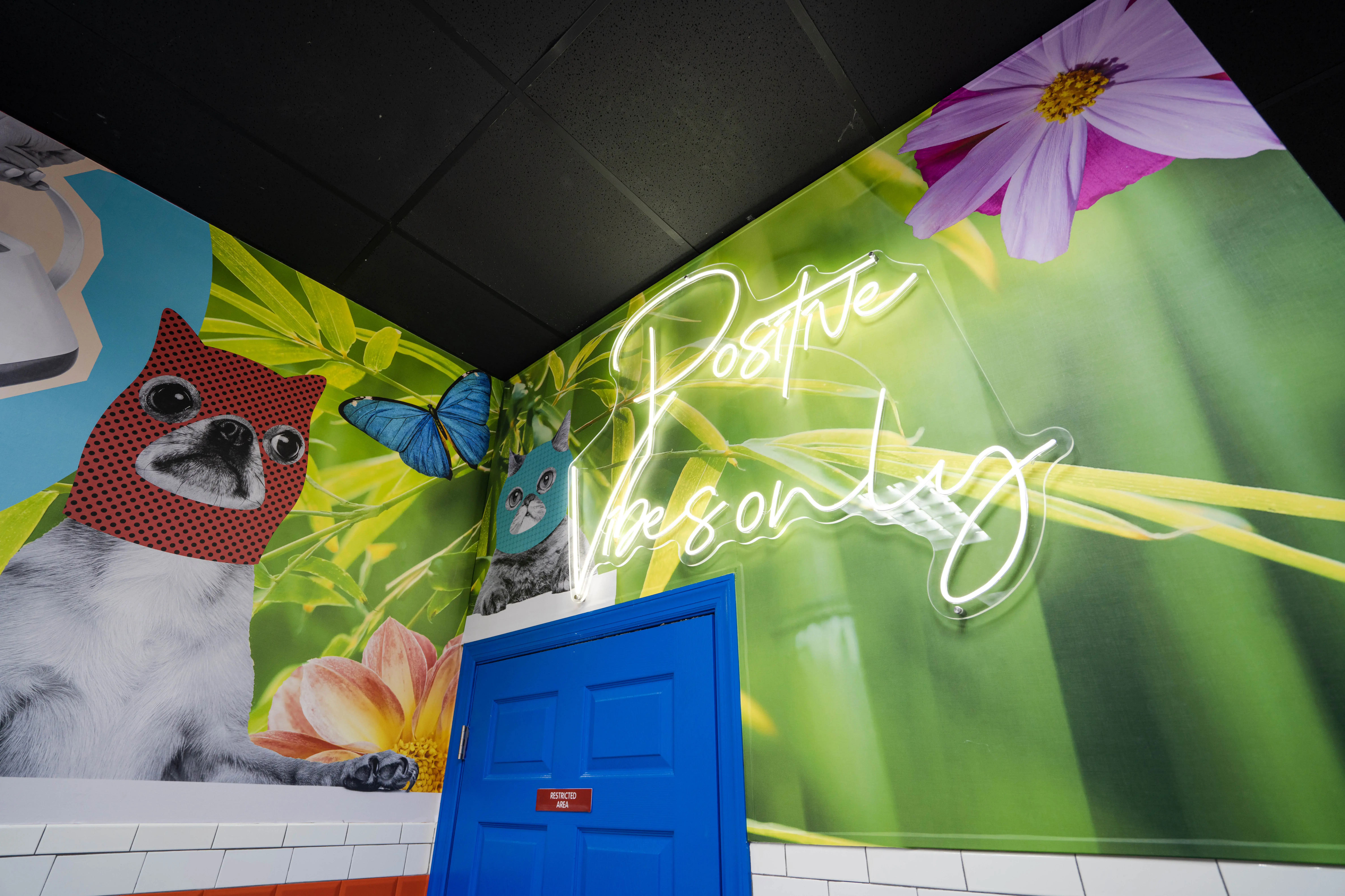 SuperWash Laundromat & Dry Cleaning - Image 16
