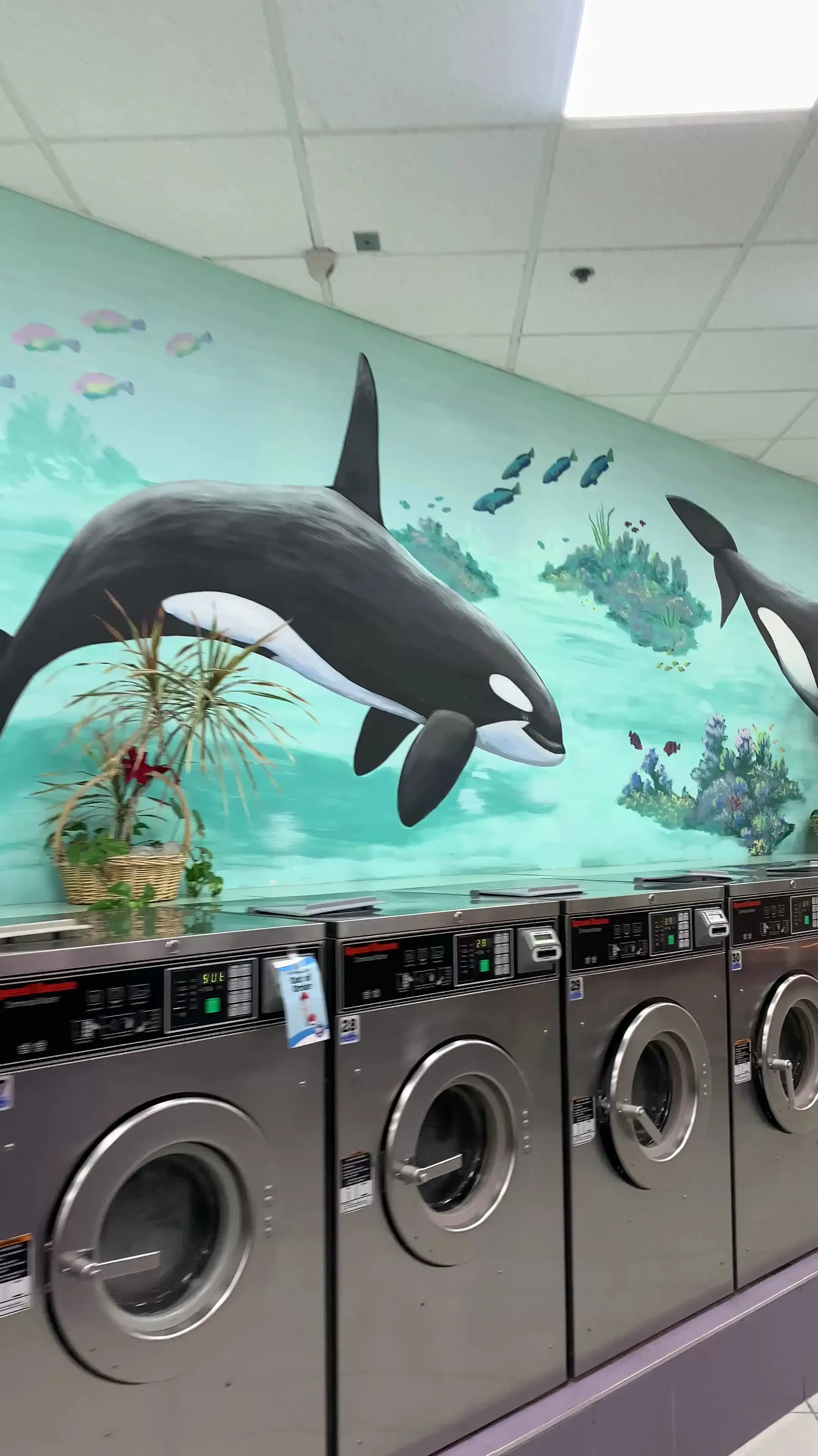 SuperWash Laundromat & Dry Cleaning thumbnail 2
