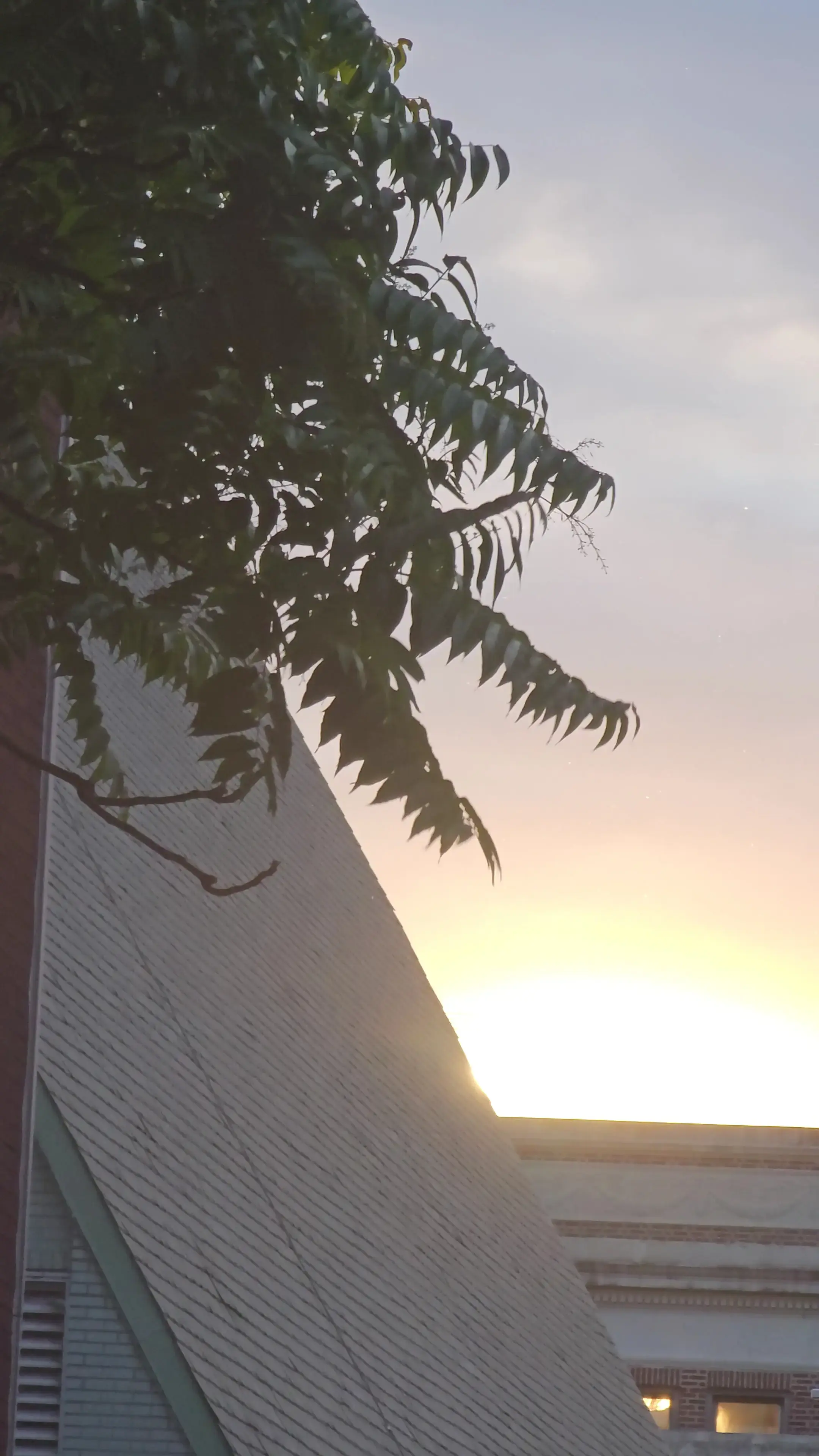 SuperWash Laundromat & Dry Cleaning thumbnail 5