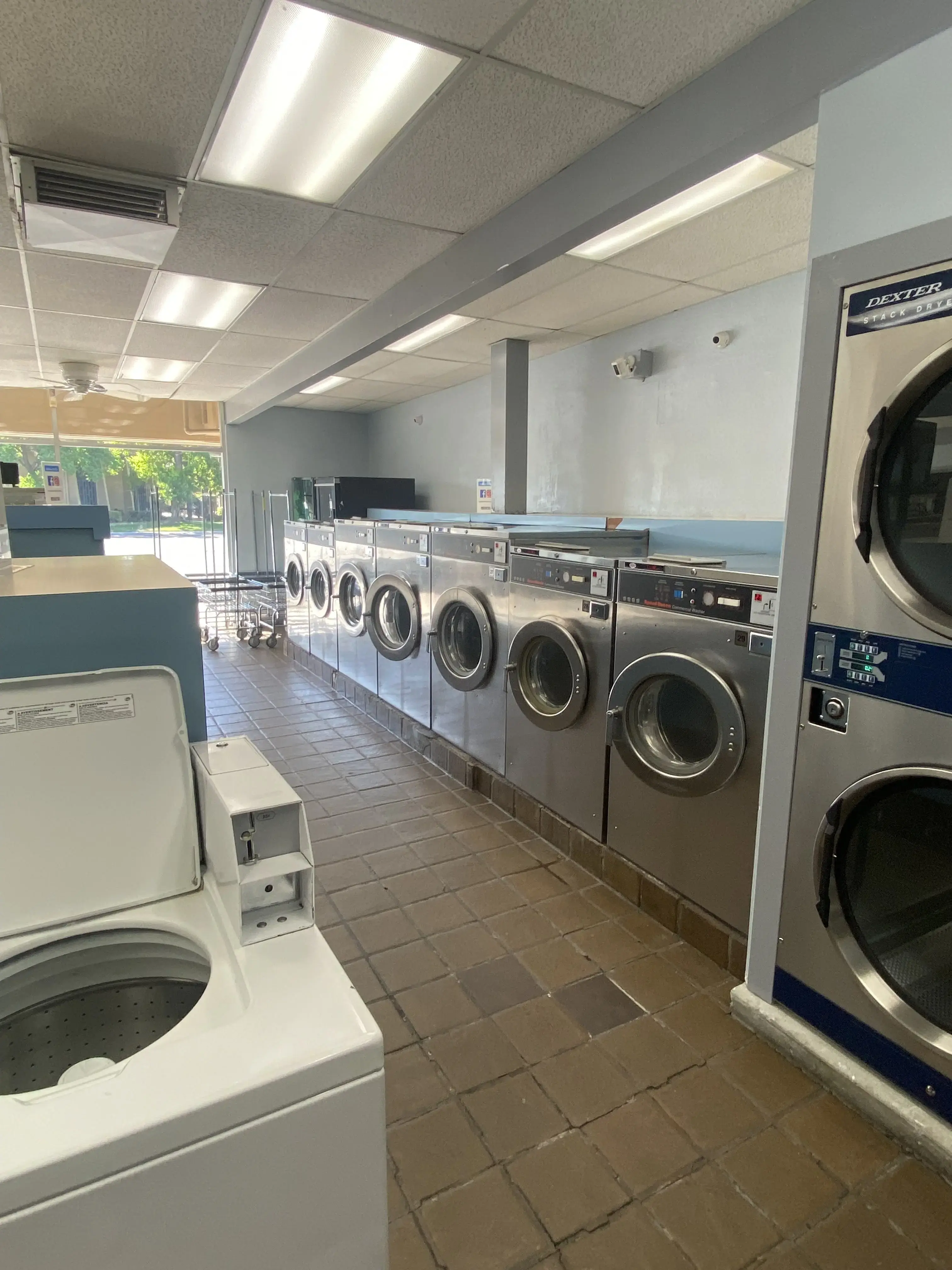 Susie's Washtime - Image 9
