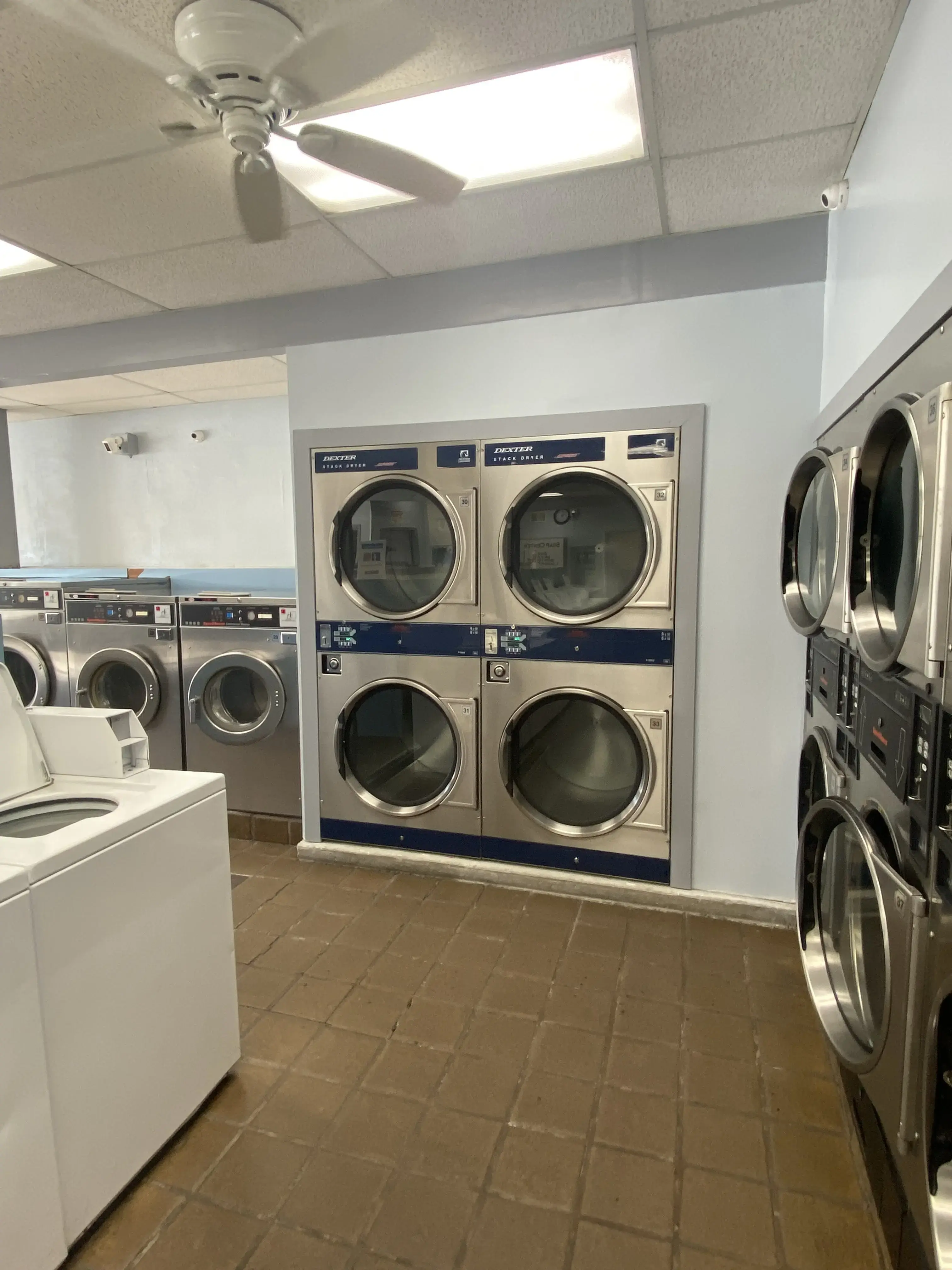Susie's Washtime - Image 10