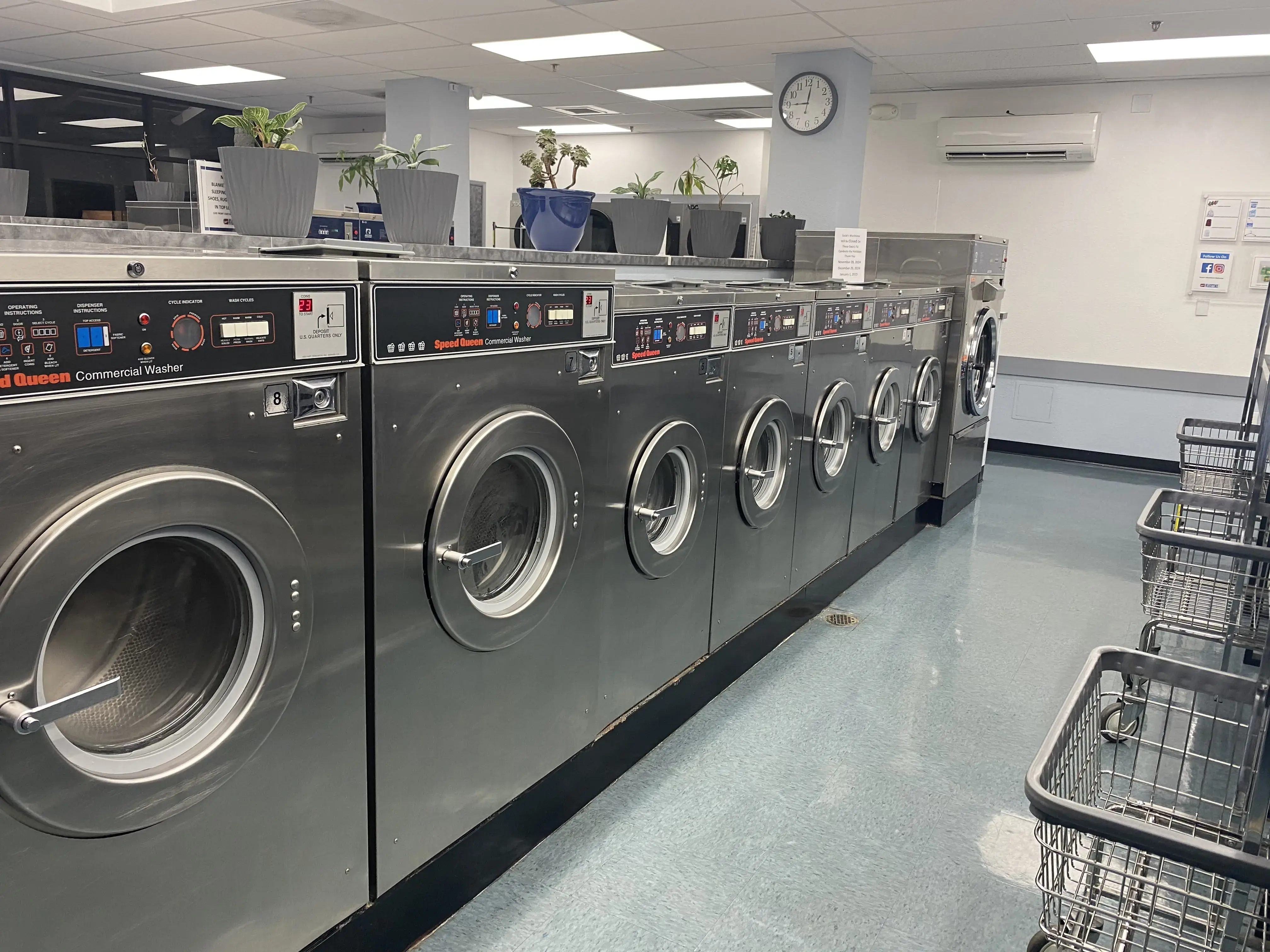 Susie's Washtime - Image 2