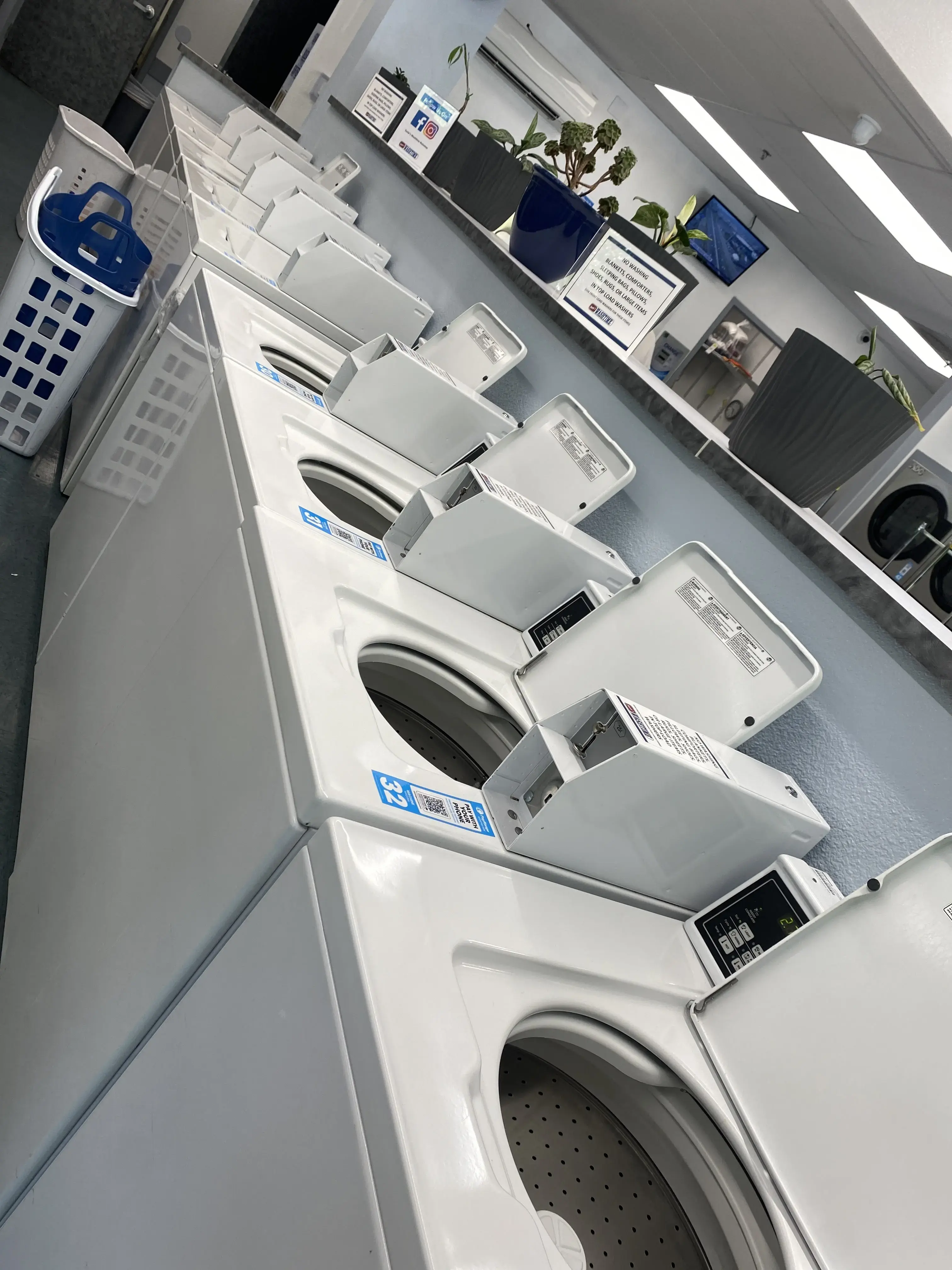 Susie's Washtime - Image 8