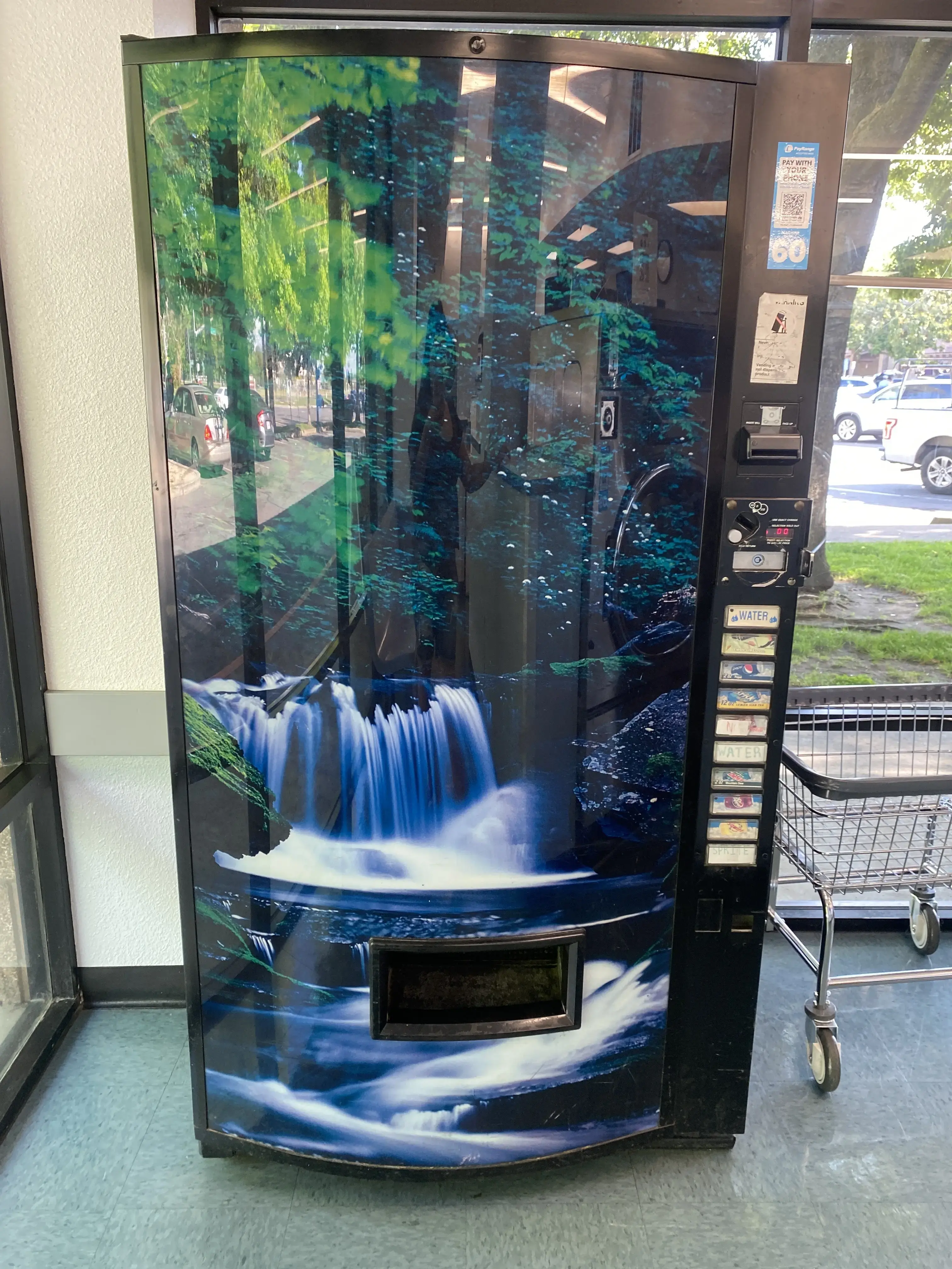 Susie's Washtime - Image 16