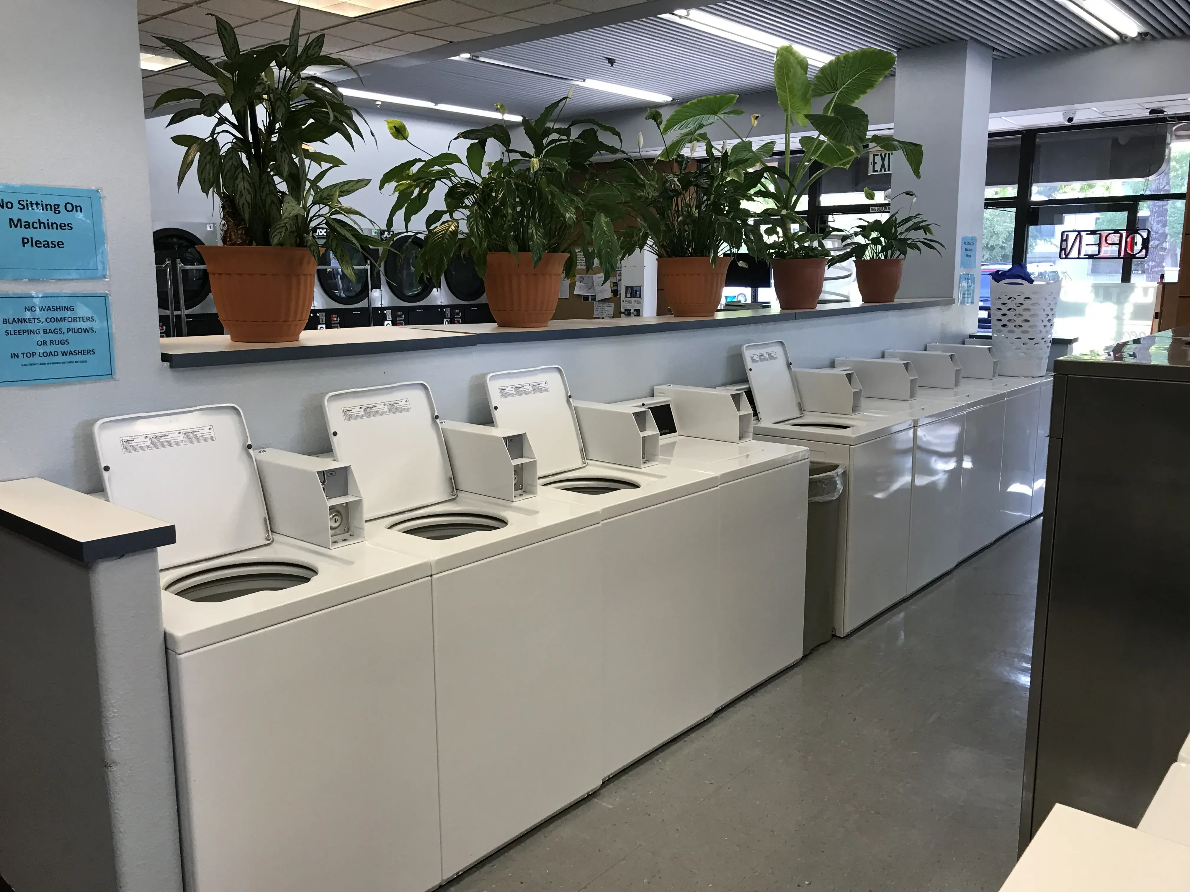 Susie's Washtime - Image 4