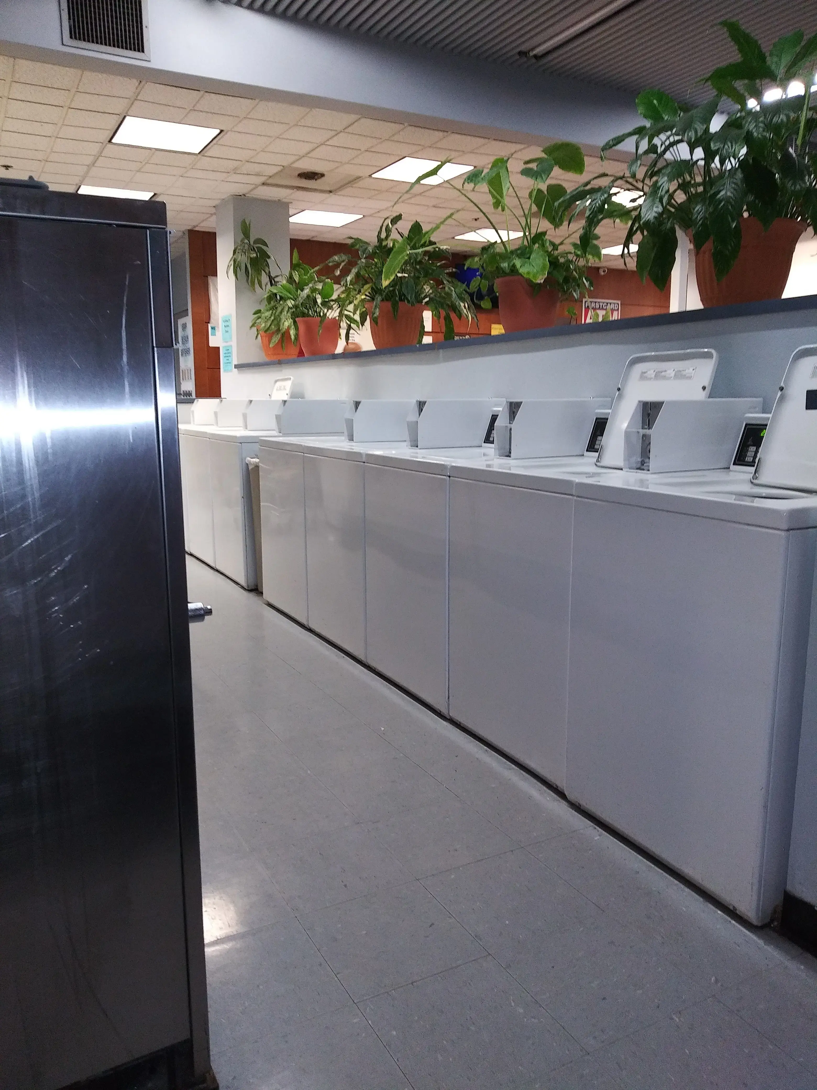 Susie's Washtime - Image 11