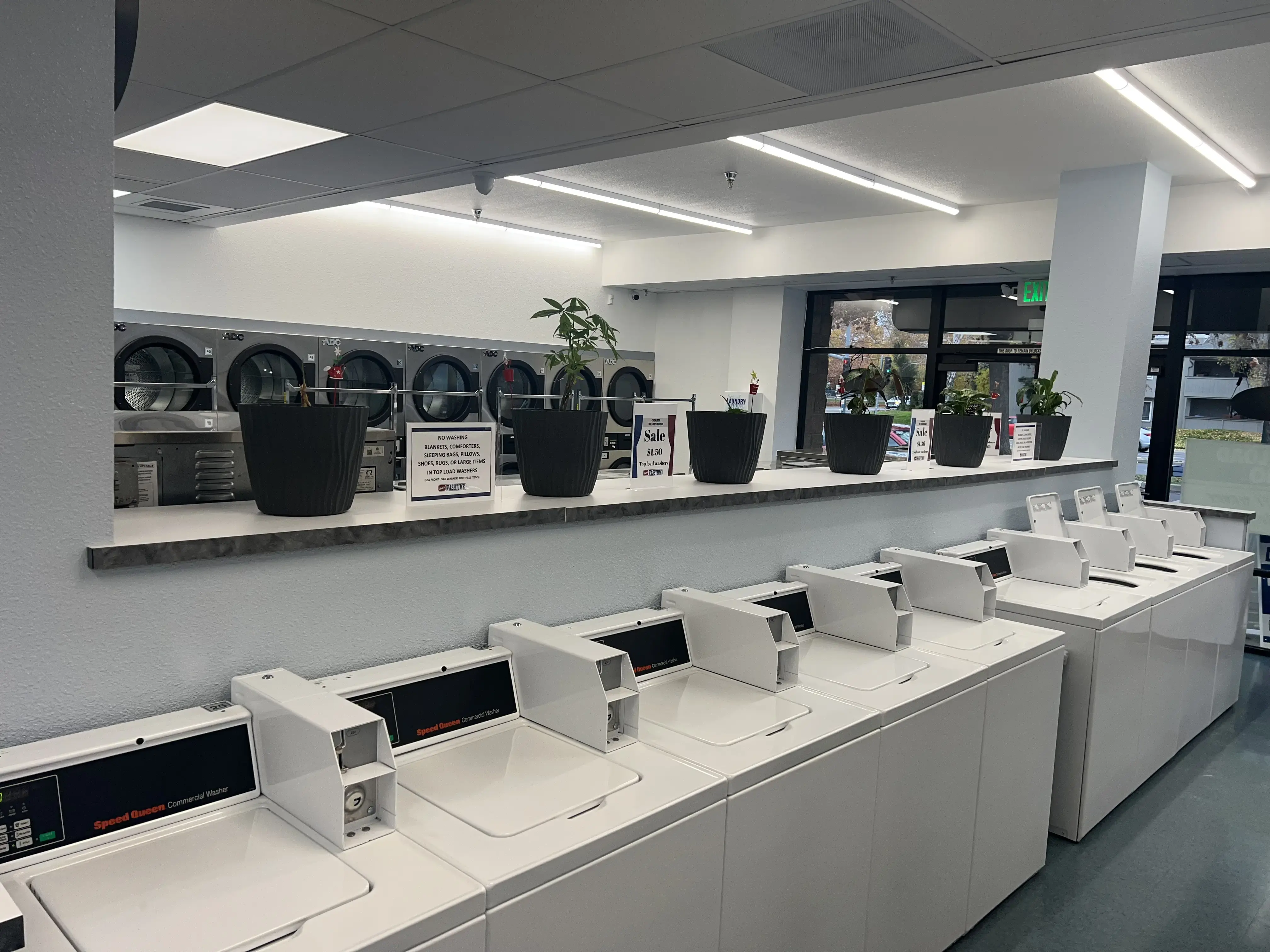 Susie's Washtime - Image 5